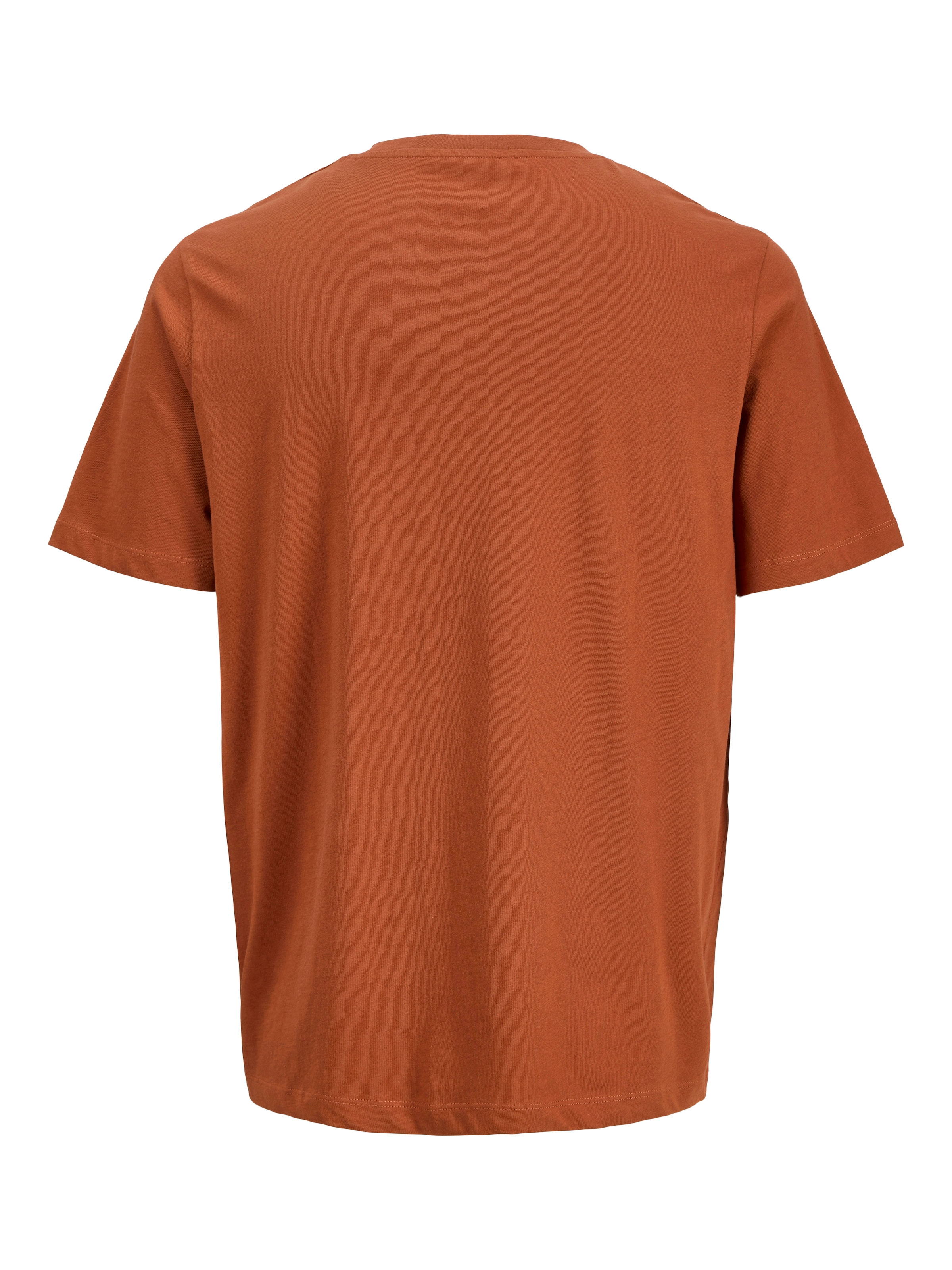 Jack & Jones Print-Shirt »JORCANGGU TEE SS CREW NECK FST«, mit Logoprint