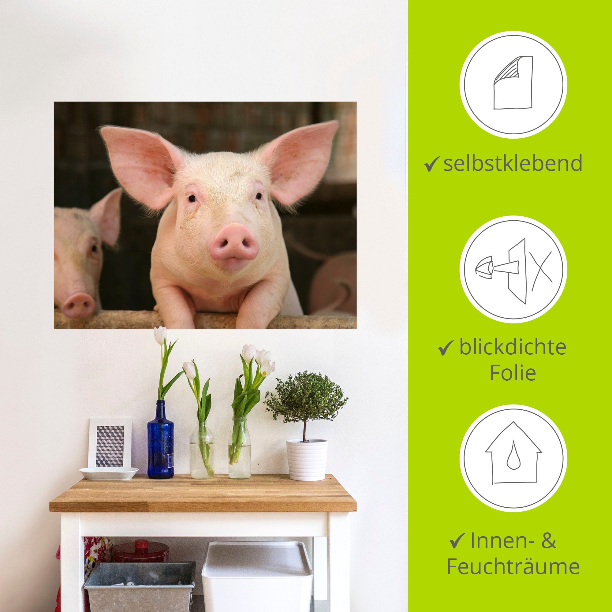 Artland Wandbild »Vorwitziges Schwein«, Haustiere, (1 St.), als Leinwandbild, Wandaufkleber in verschied. Größen