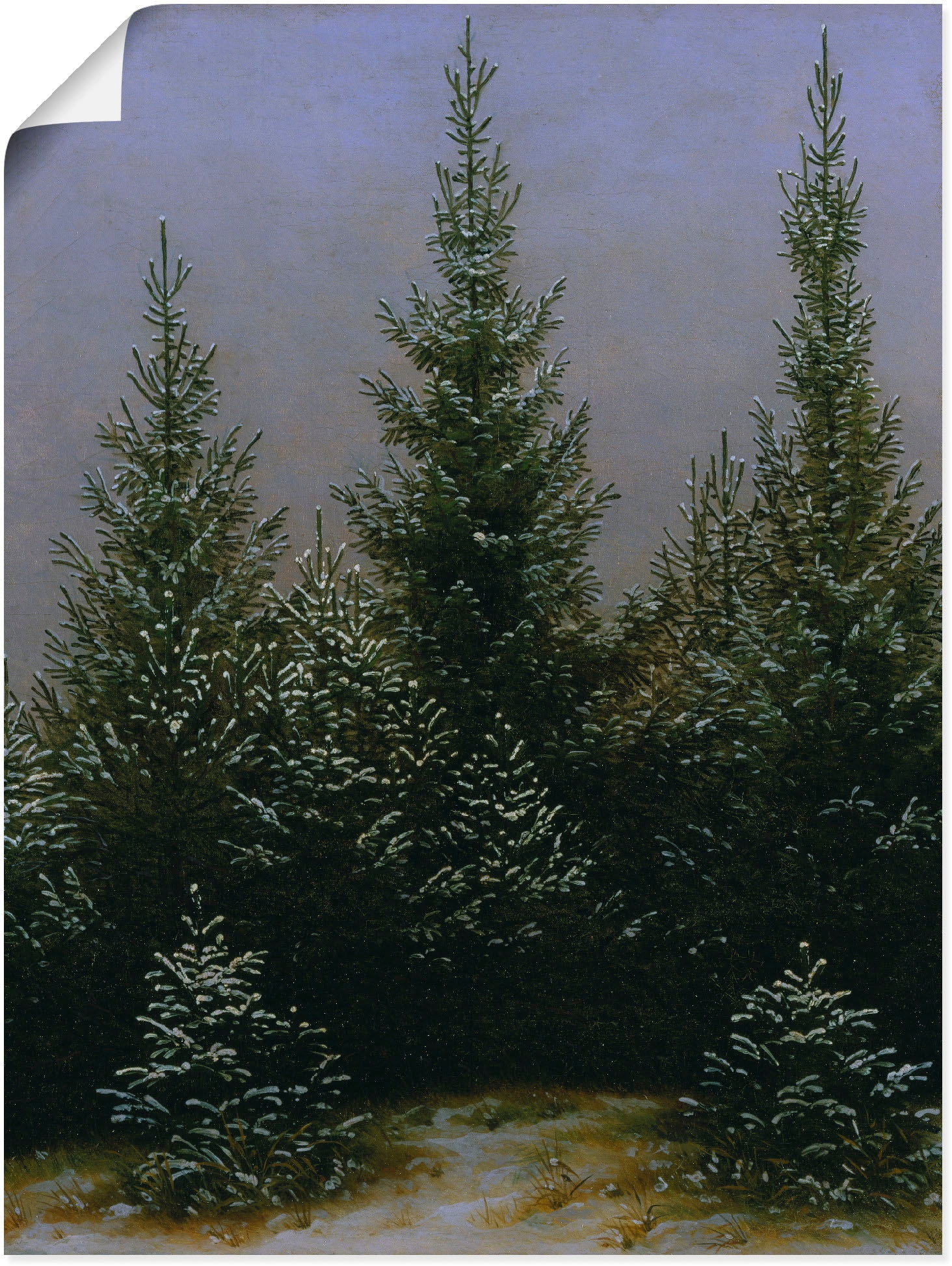 Artland Kunstdruck »Fichtendickicht im Schnee Dresdner Heide«, Bäume, (1 St.), als Alubild, Leinwandbild, Wandaufkleber oder Poster in versch. Größen