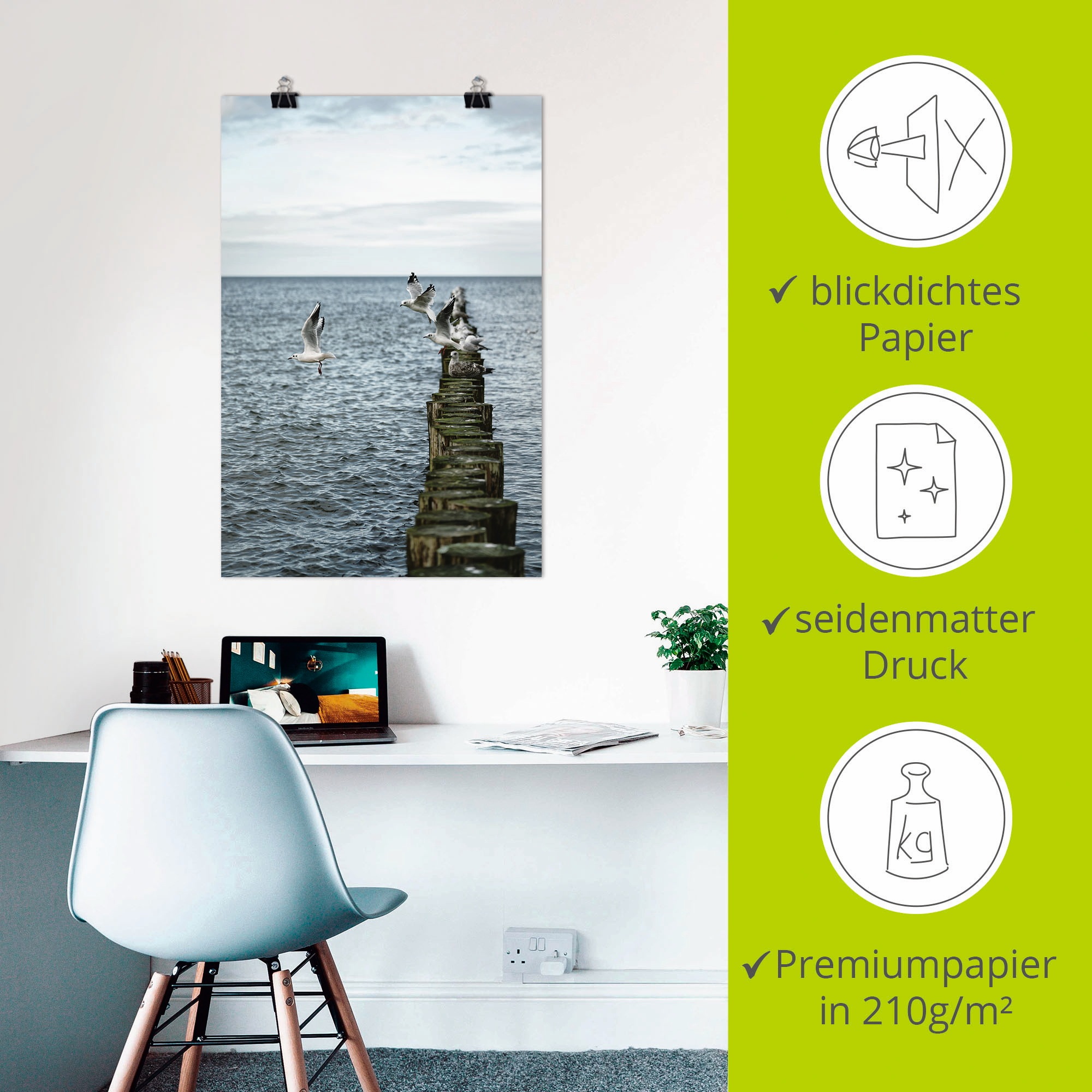 Artland Wandbild »Möwen starten von einer Buhnenreihe«, Vogelbilder, (1 St.), als Alubild, Outdoorbild, Poster in verschied. Größen