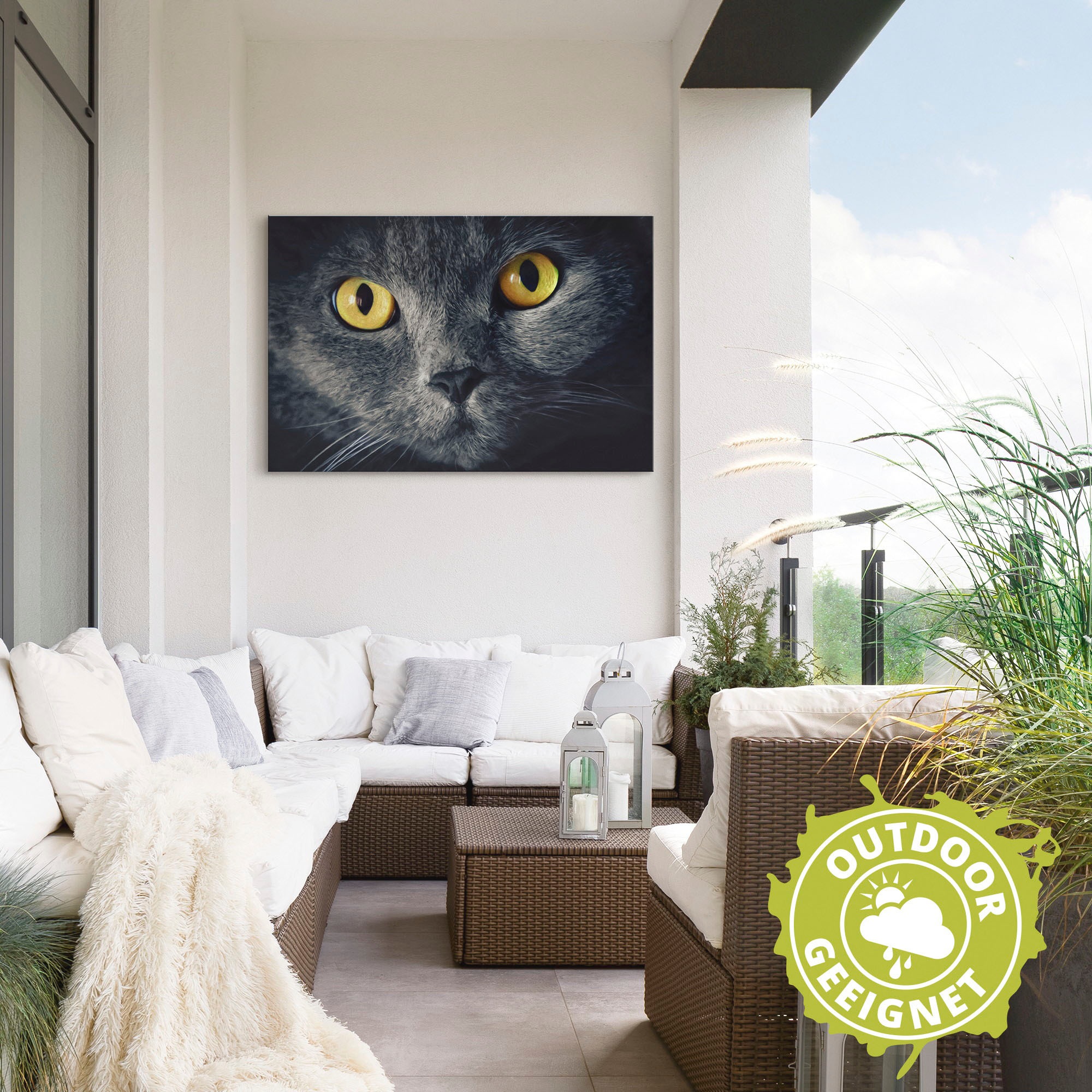Artland Wandbild »Katzenaugen«, Haustiere, (1 St.), als Alubild, Outdoorbild, Leinwandbild, Poster in verschied. Größen