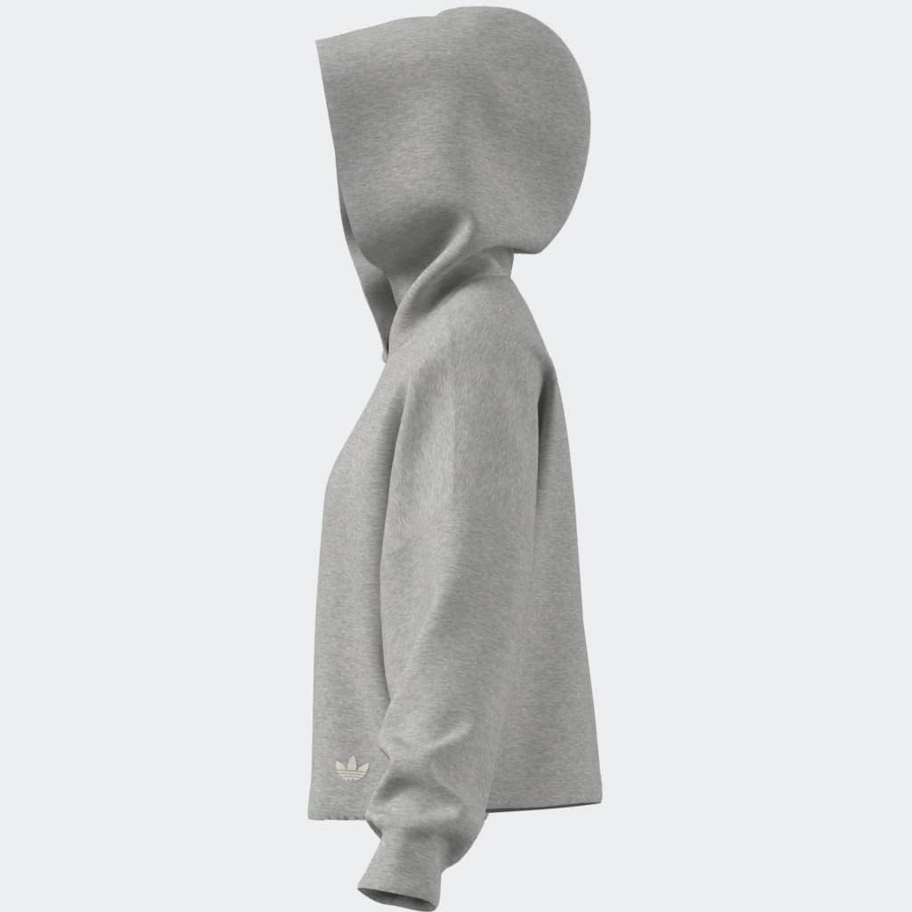 adidas Originals Kapuzensweatshirt »3 STRIPES HOODY«