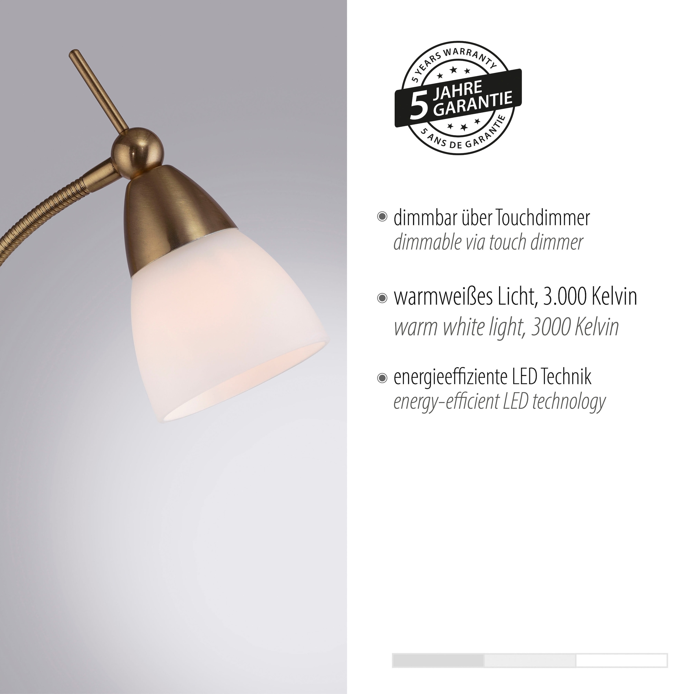 Paul Neuhaus Stehlampe »PINO«, 1 flammig, Leuchtmittel G9 | LED wechselbar