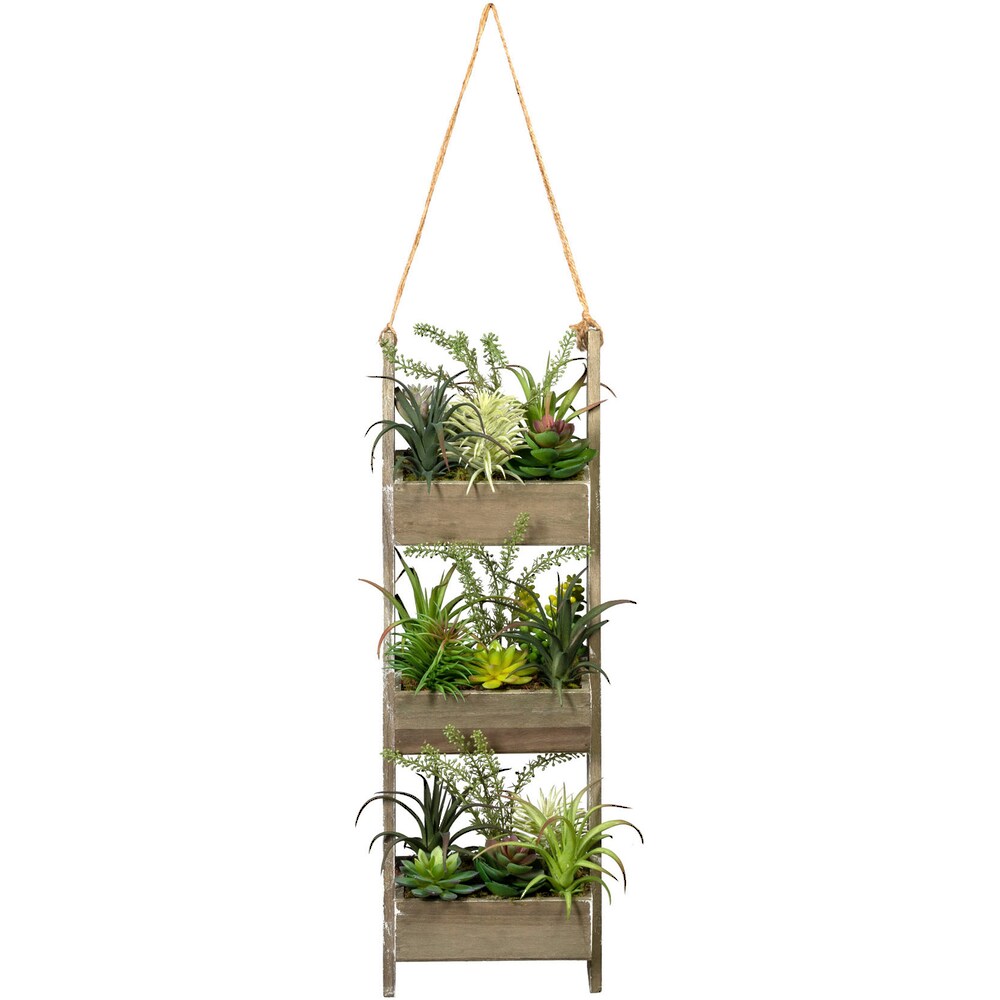 Creativ green Künstliche Zimmerpflanze »Holzdekoleiter mit Sukkulenten«, (1 St.) kaufen