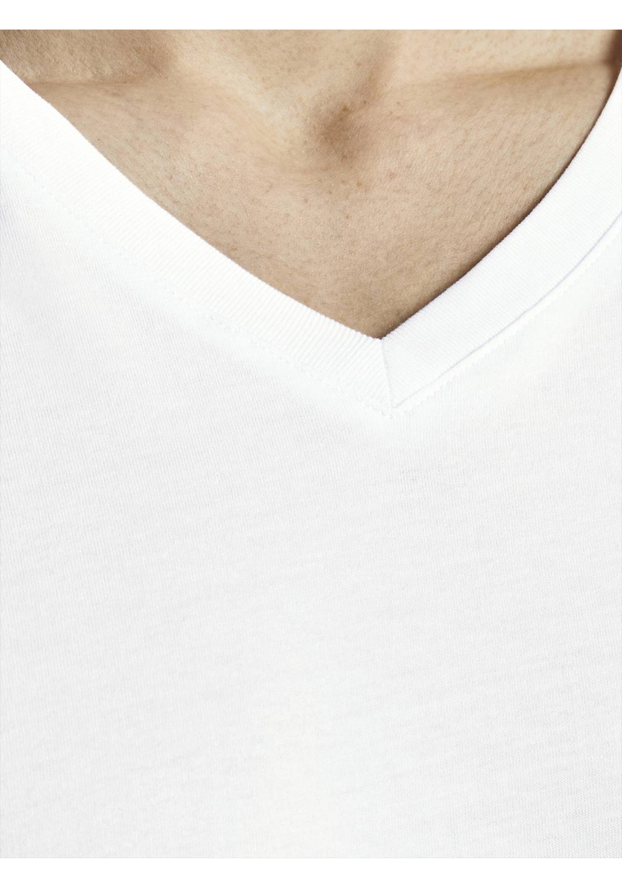 Jack & Jones T-Shirt »T-Shirt JACBASIC V-NECK TEE 2PK 2er Pack«