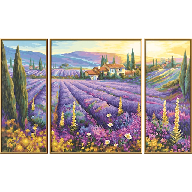 Schipper Malen nach Zahlen »Meisterklasse Triptychon - Lavendelfelder«, Made  in Germany online | OTTO