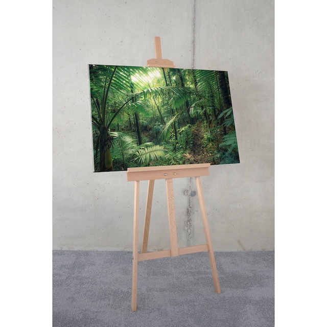 Komar Leinwandbild »Jungleflair«, Baum-Blätter-Natur-Berge-Blumen-Foto-Jahreszeiten-Landschaft-Meer-Strand-Palmen,  (1 St.), 90x60 cm (Breite x Höhe), Keilrahmenbild im OTTO Online Shop