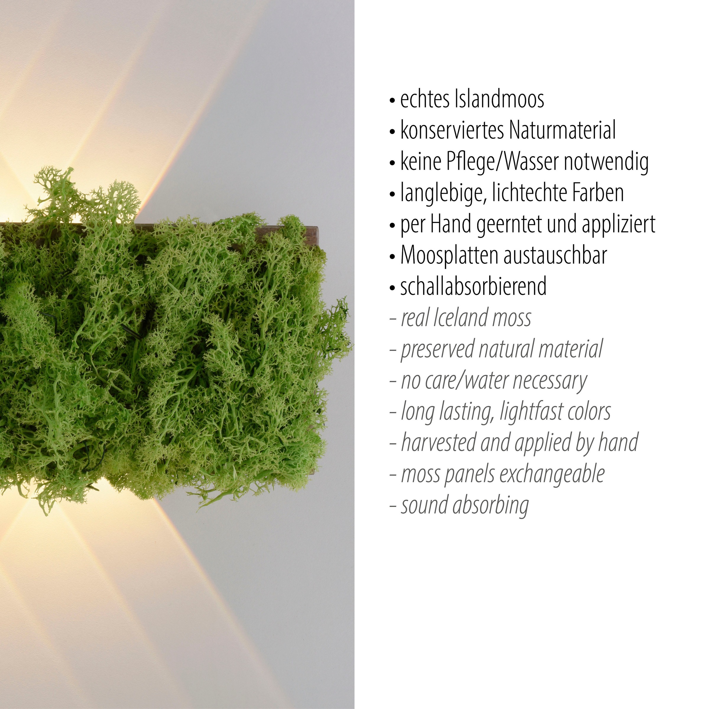 JUST LIGHT Wandleuchte »GREEN CARL«, 6 flammig
