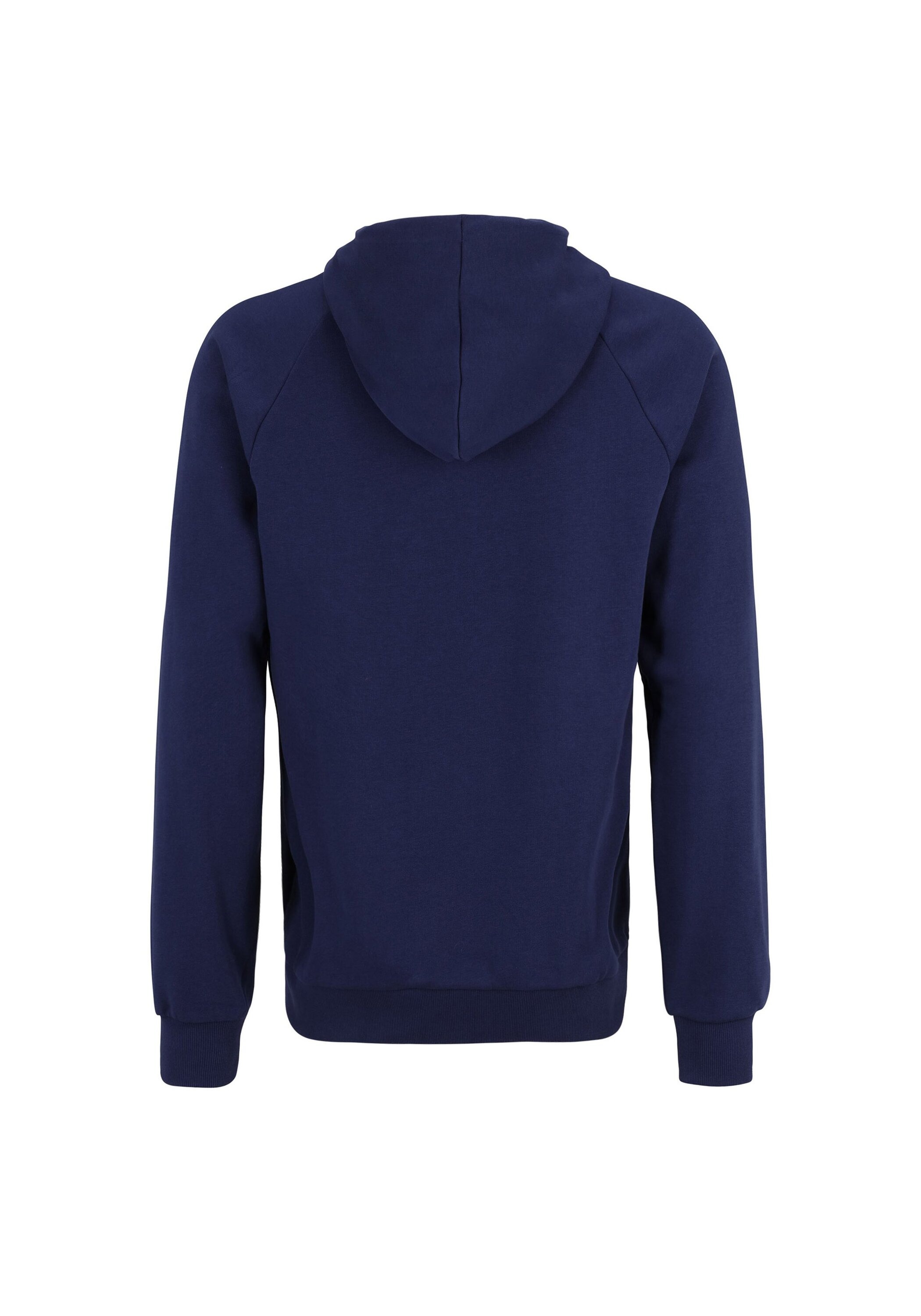 Fila Sweatshirt »Sweatshirt BRAIVES raglan hoody«