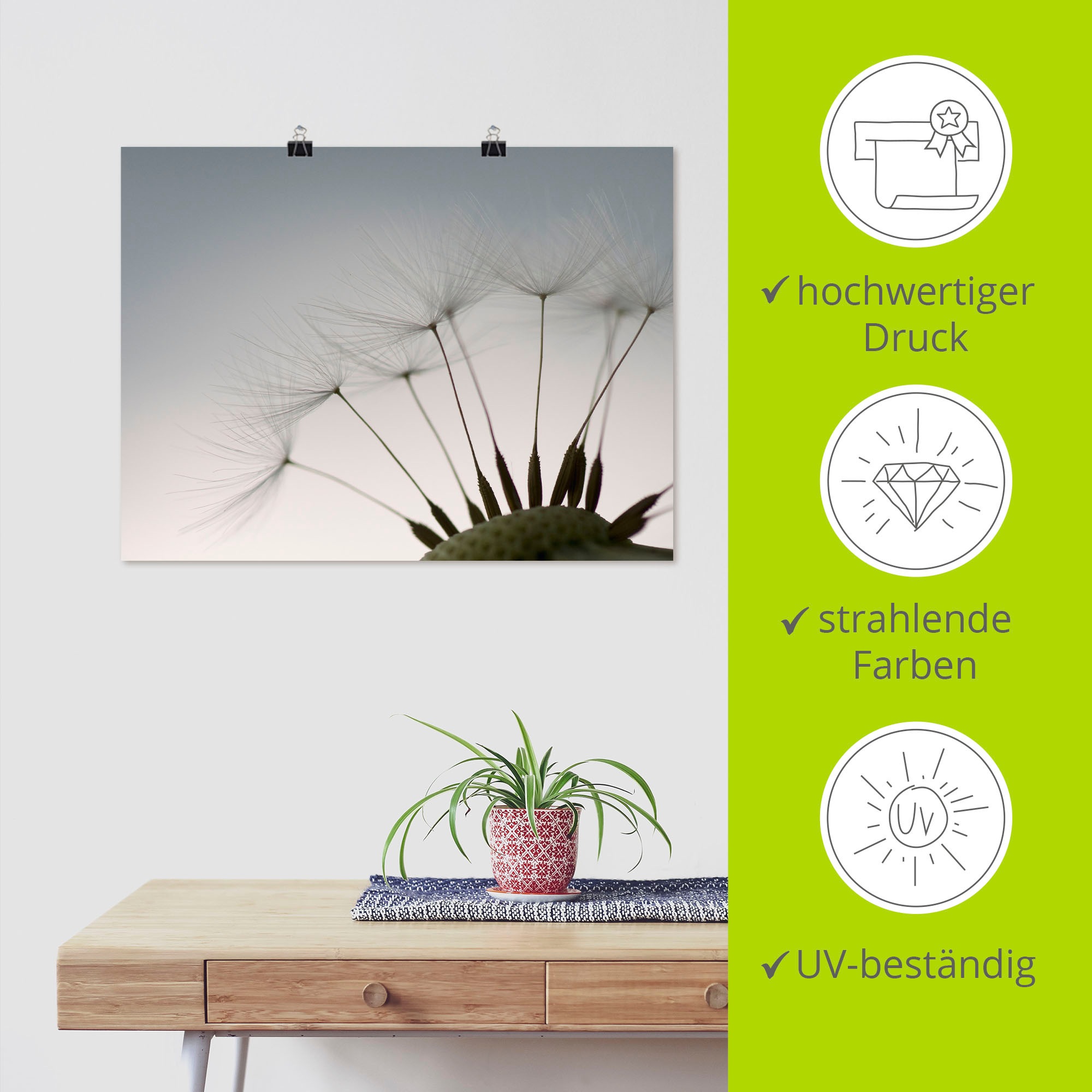 Artland Wandbild »Pusteblumen-Samen I«, Blumen, (1 St.), als Alubild, Outdoorbild, Leinwandbild, Poster in verschied. Größen