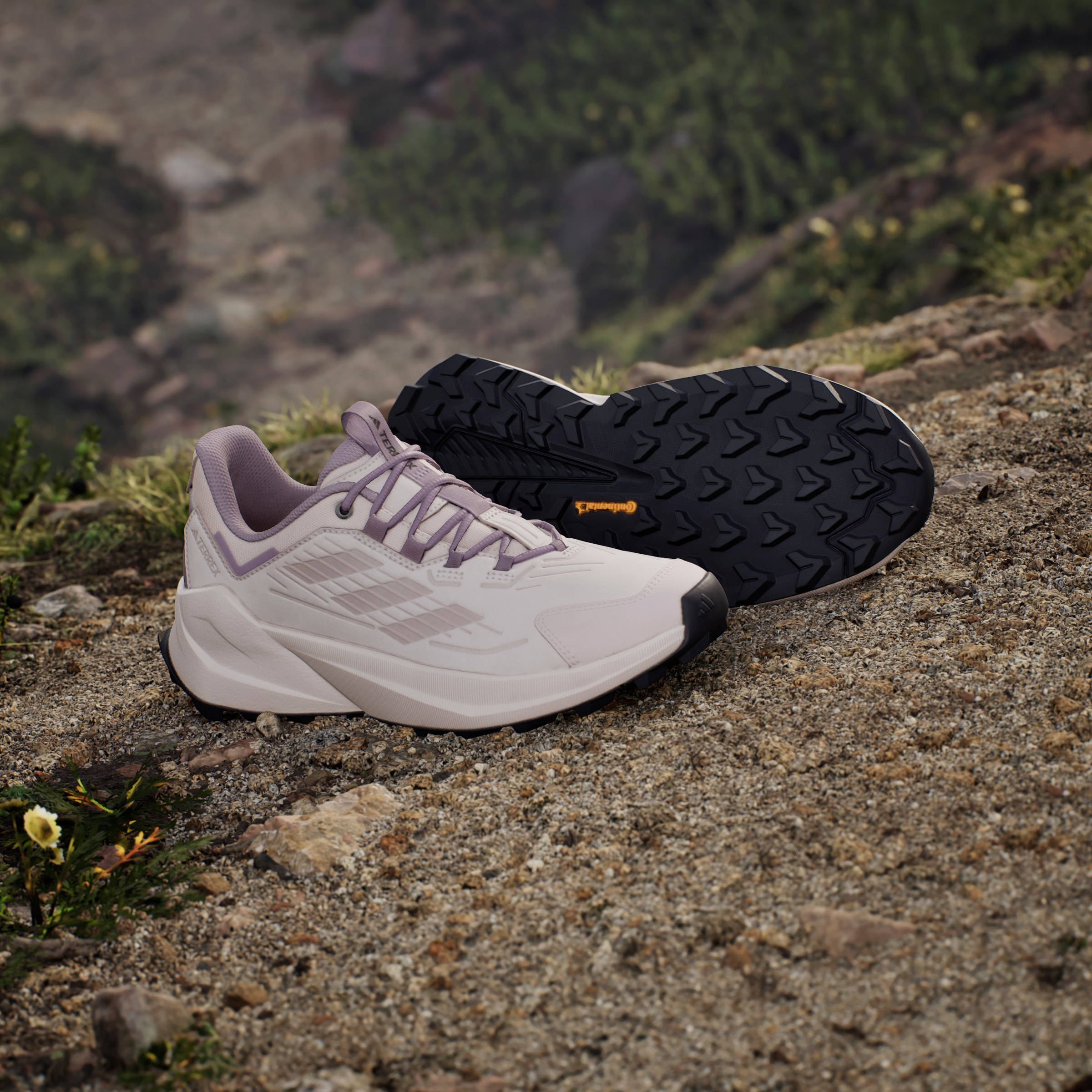 adidas TERREX Wanderschuh »TERREX TRAILMAKER 2.0 LEATHER«
