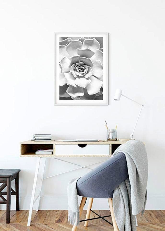 Komar Bild »Succulent Closeup« Blätter | Pflanzen 1 Stk. tlg. Wandbild zur Dekoration - ohne Rahmen
