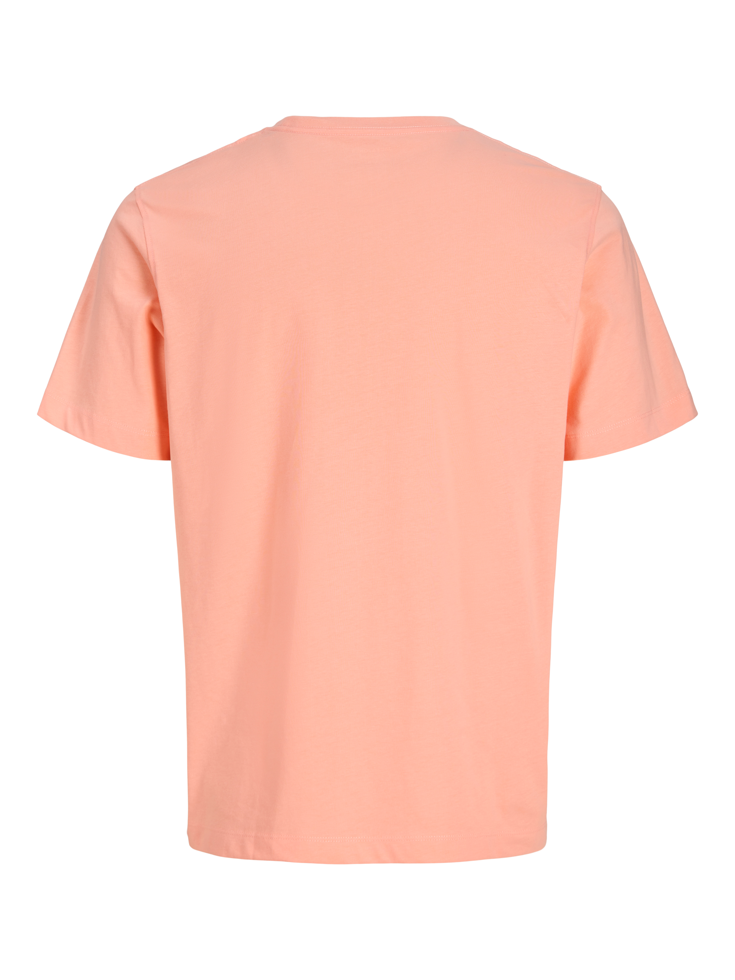 Jack & Jones T-Shirt »JORMONTAUK ELEMENT TEE SS CREW NECK«