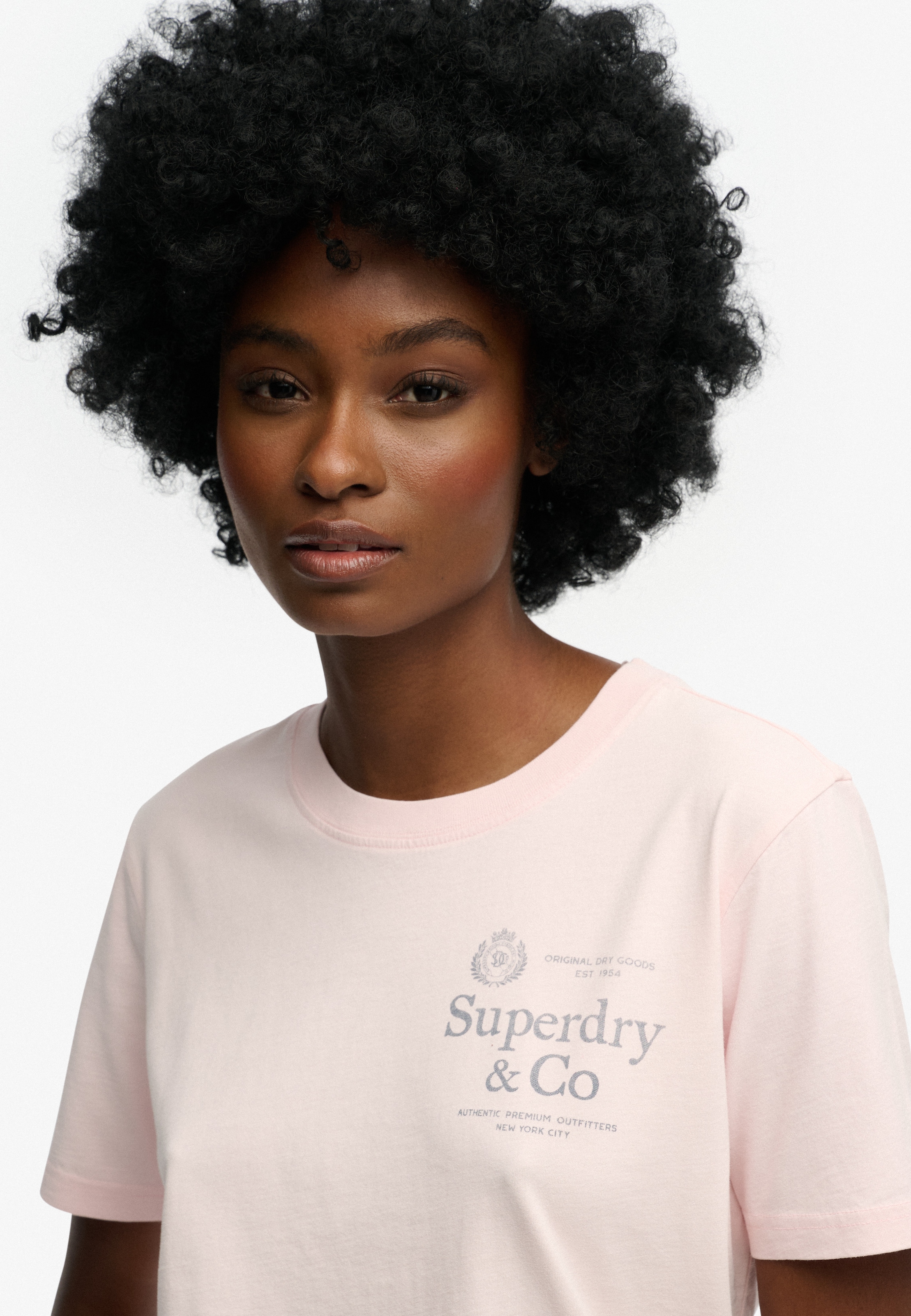 Superdry Print-Shirt »LUXE CASUAL RLXD TEE«
