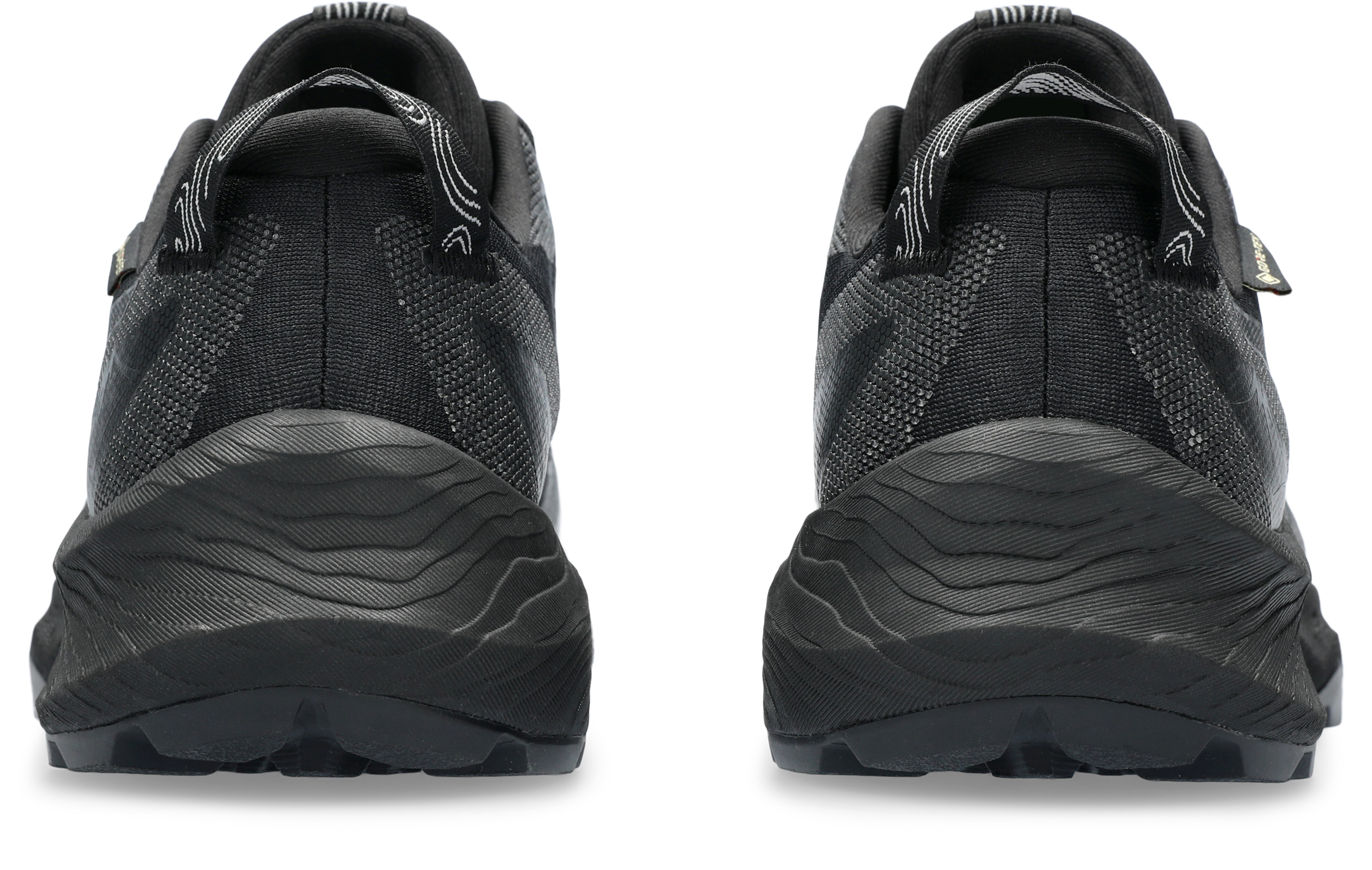 Asics Trailrunningschuh »GEL-TRABUCO 12 GORE-TEX«, Wasserdicht