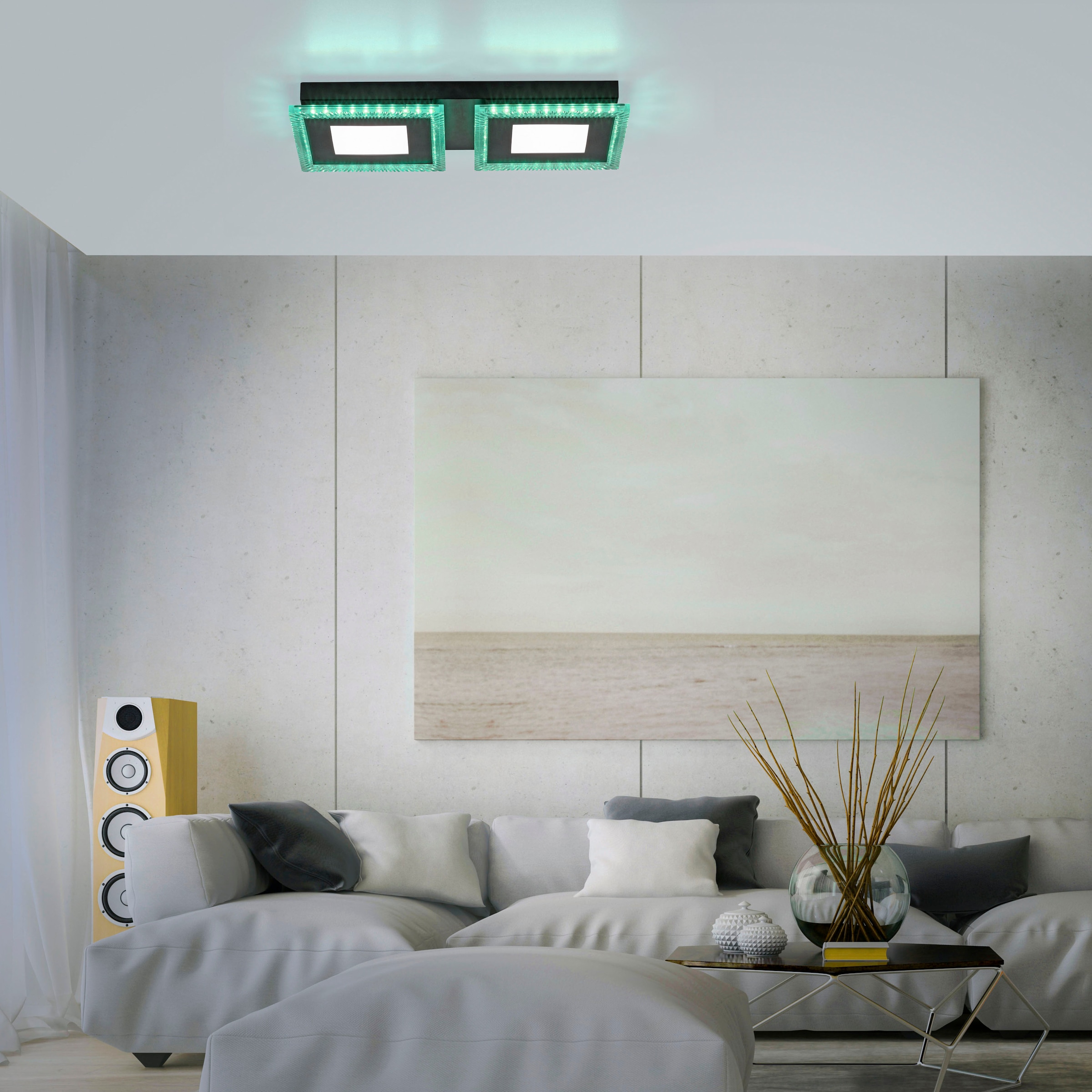 JUST LIGHT LED Deckenleuchte »ACRI«, 2 flammig, Leuchtmittel LED-Board-LED-Board | LED fest integriert-LED fest integriert
