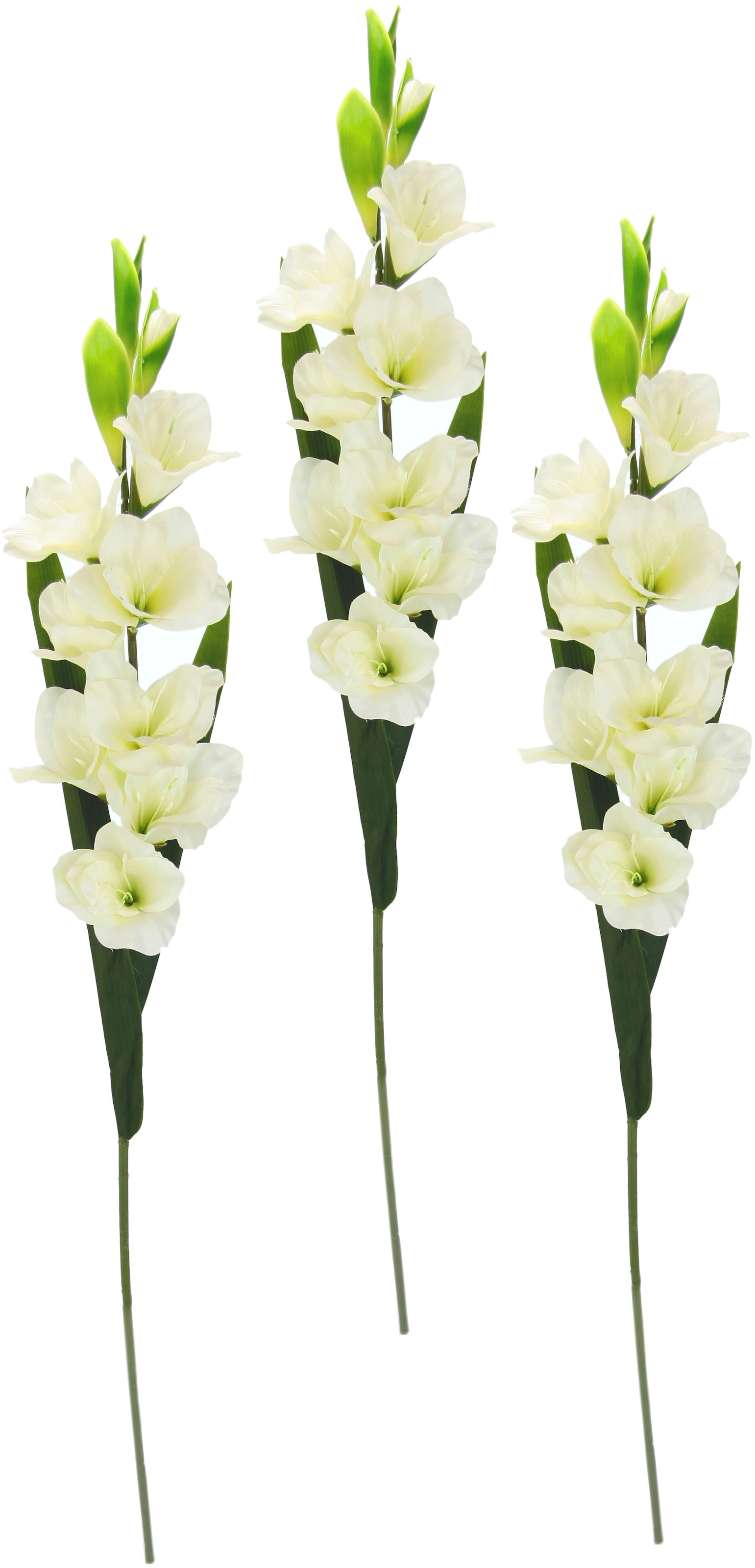 I.GE.A. Kunstblume »Gladiole«, 3er Set