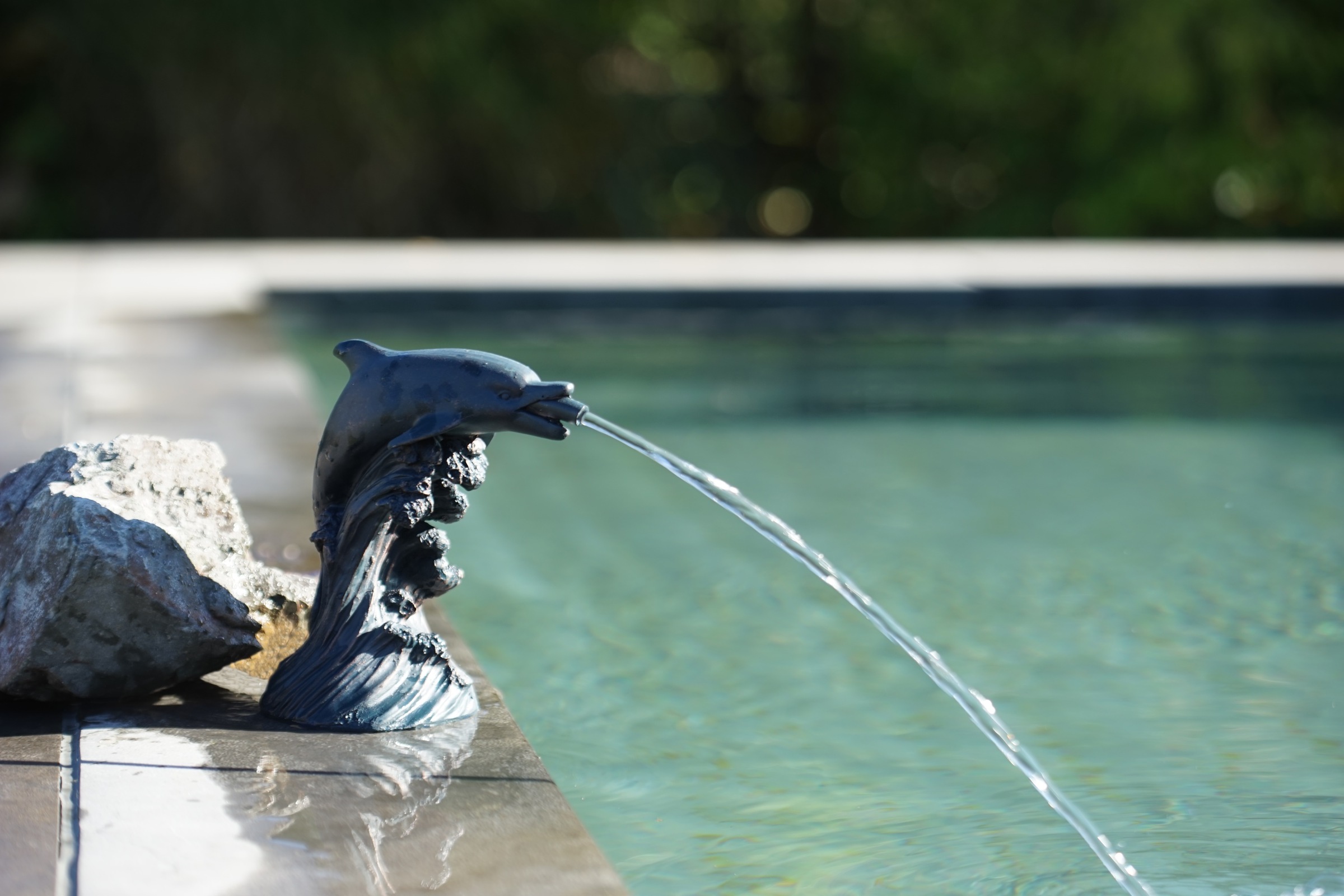 Ubbink Wasserspiel »Delfin I«