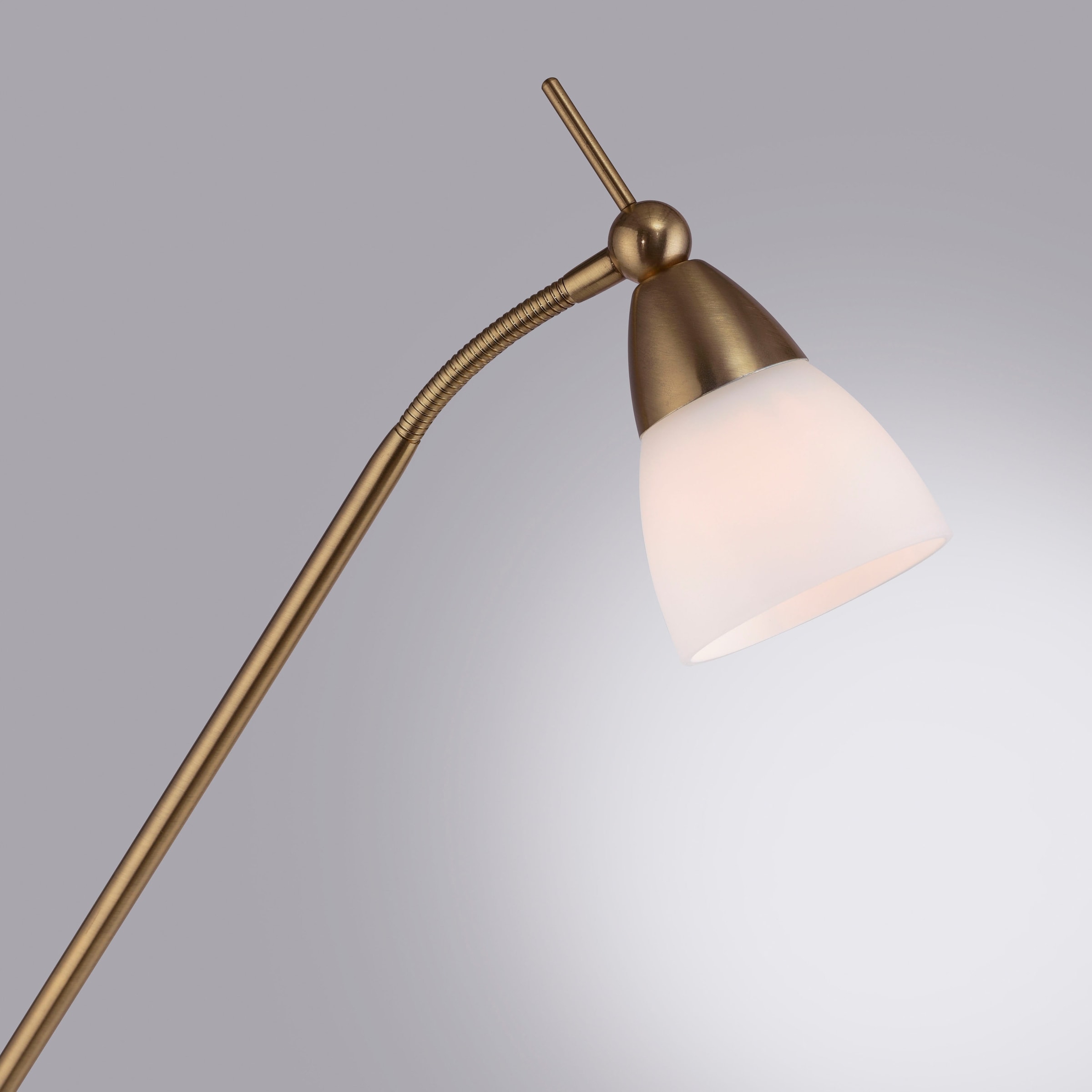 Paul Neuhaus Stehlampe »PINO«, 1 flammig, Leuchtmittel G9 | LED wechselbar