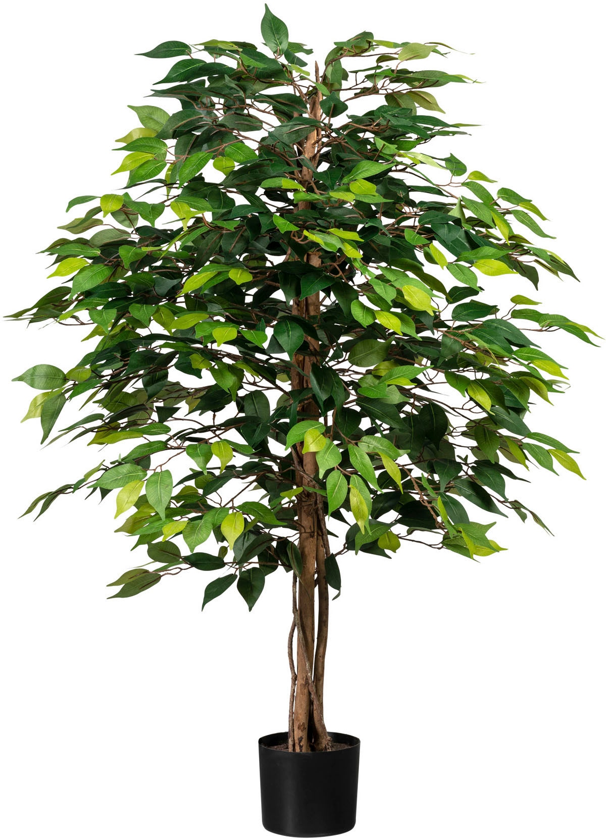 Creativ Green Kunstpflanze »Ficus Benjamini« in grün, Größe B/H/L: 120 cm