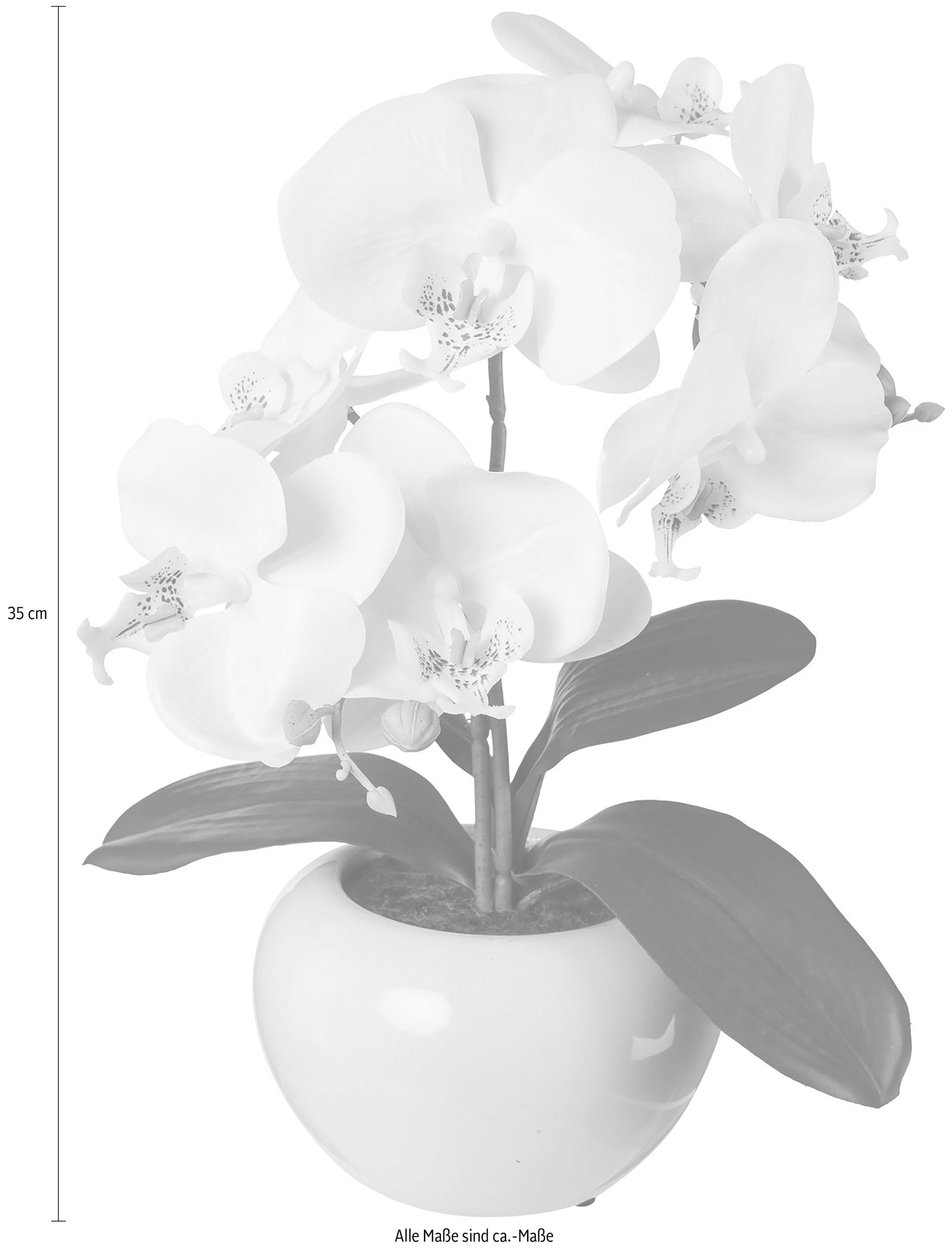 Creativ green Kunstpflanze 2er Set