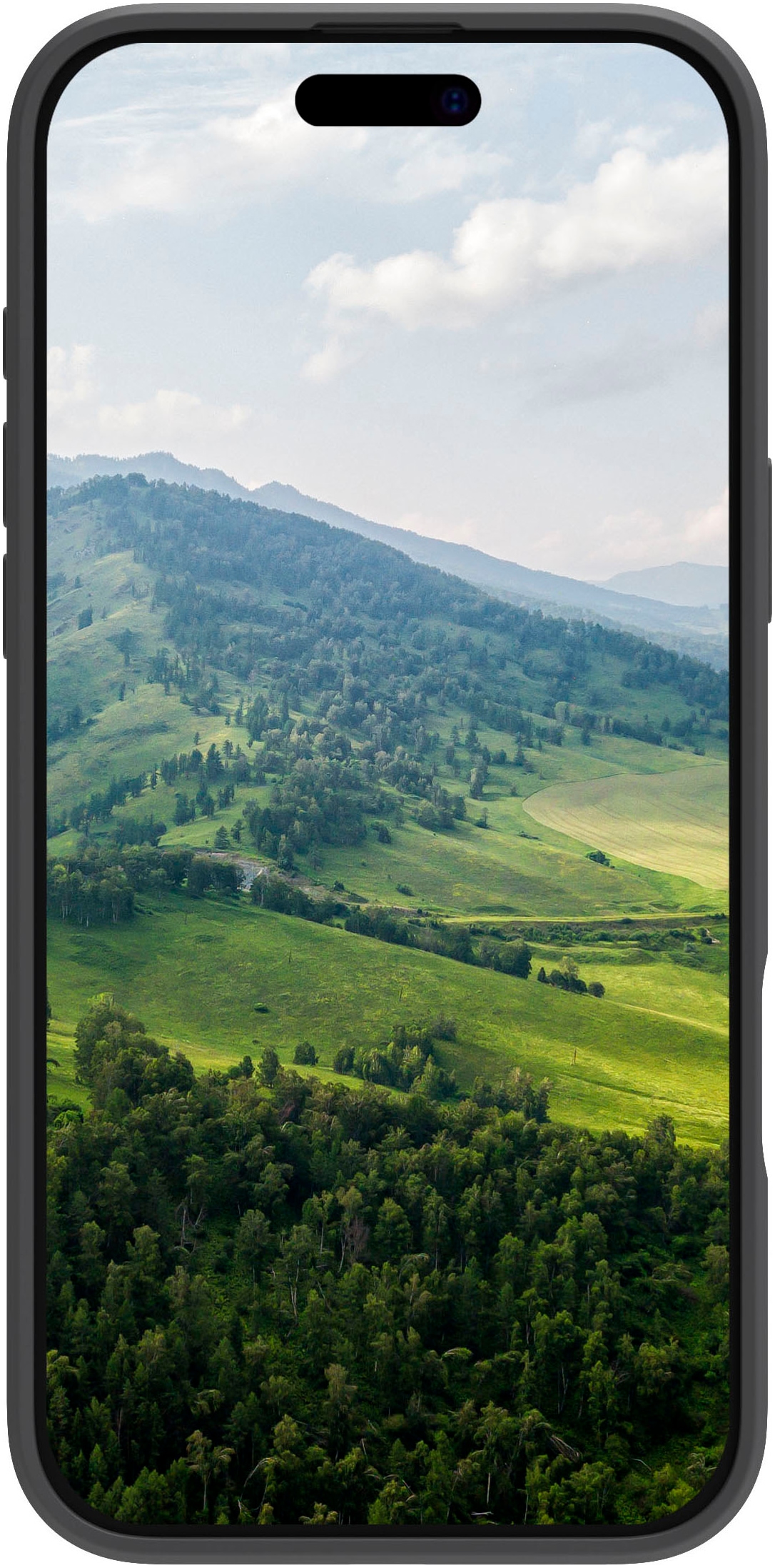 dbramante1928 Smartphone-Hülle »Greenland Pro Magsafe iPhone 16 Pro« Smartphones