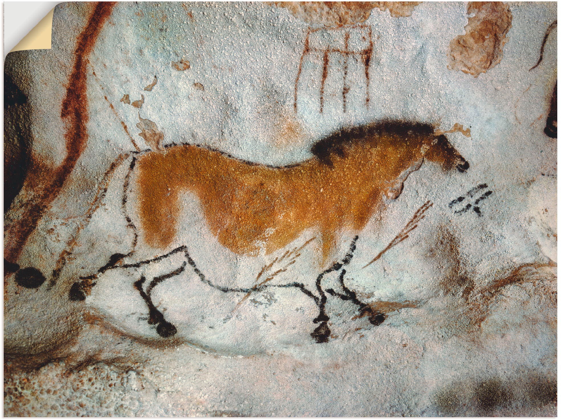 Artland Wandbild »Höhle von Lascaux, Chinesisches Pferd«, Haustiere, (1 St.), in vielen Größen & Produktarten -Leinwandbild, Poster, Wandaufkleber / Wandtattoo auch für Badezimmer geeignet