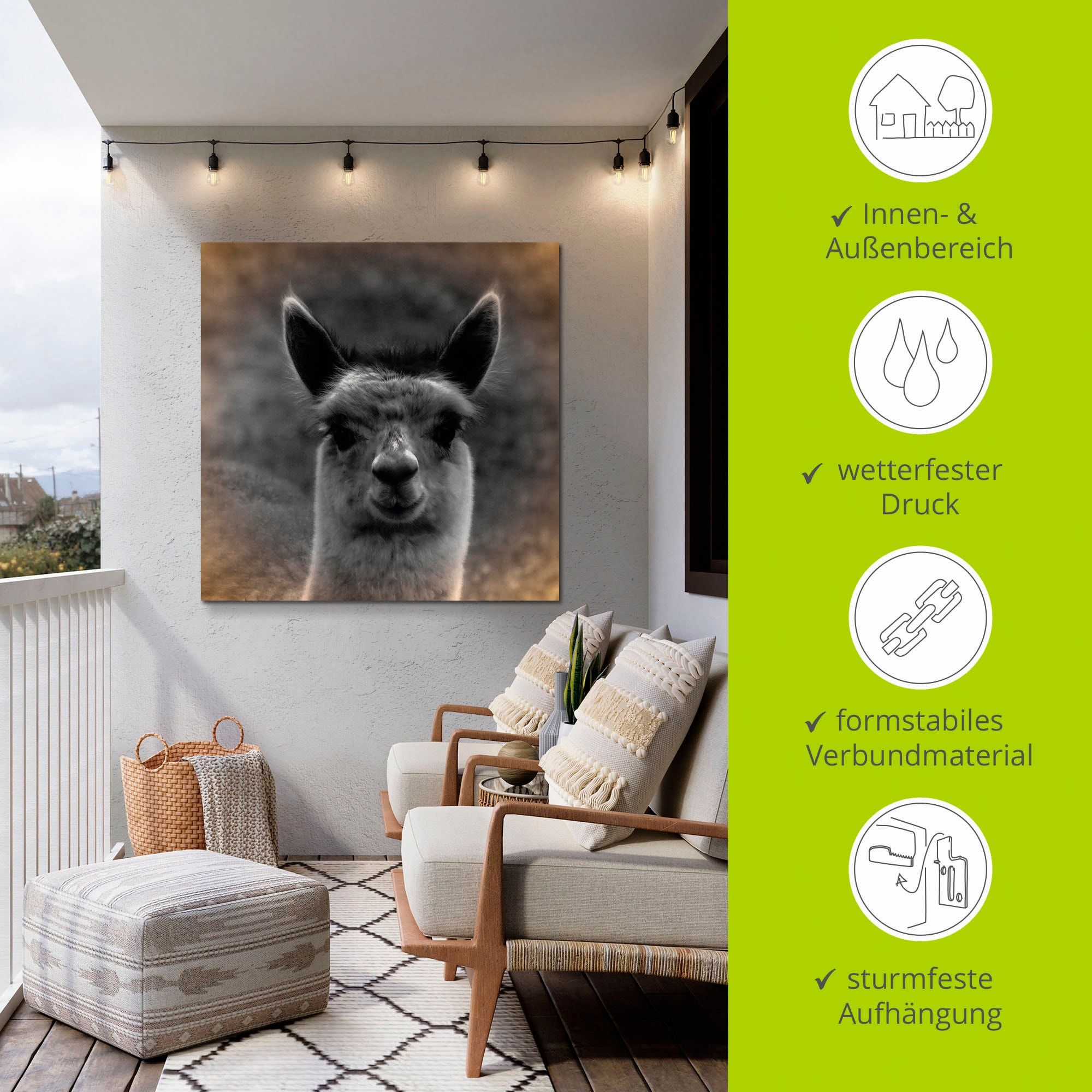 Artland Wandbild »Alpaka Blick«, Wildtiere, (1 St.), als Alubild, Outdoorbild, Leinwandbild, Poster in verschied. Größen