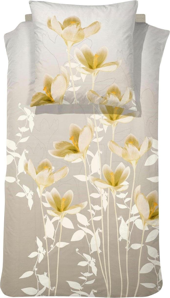 Cinderella Bettwäsche »Oliva«, mit Blumenranken