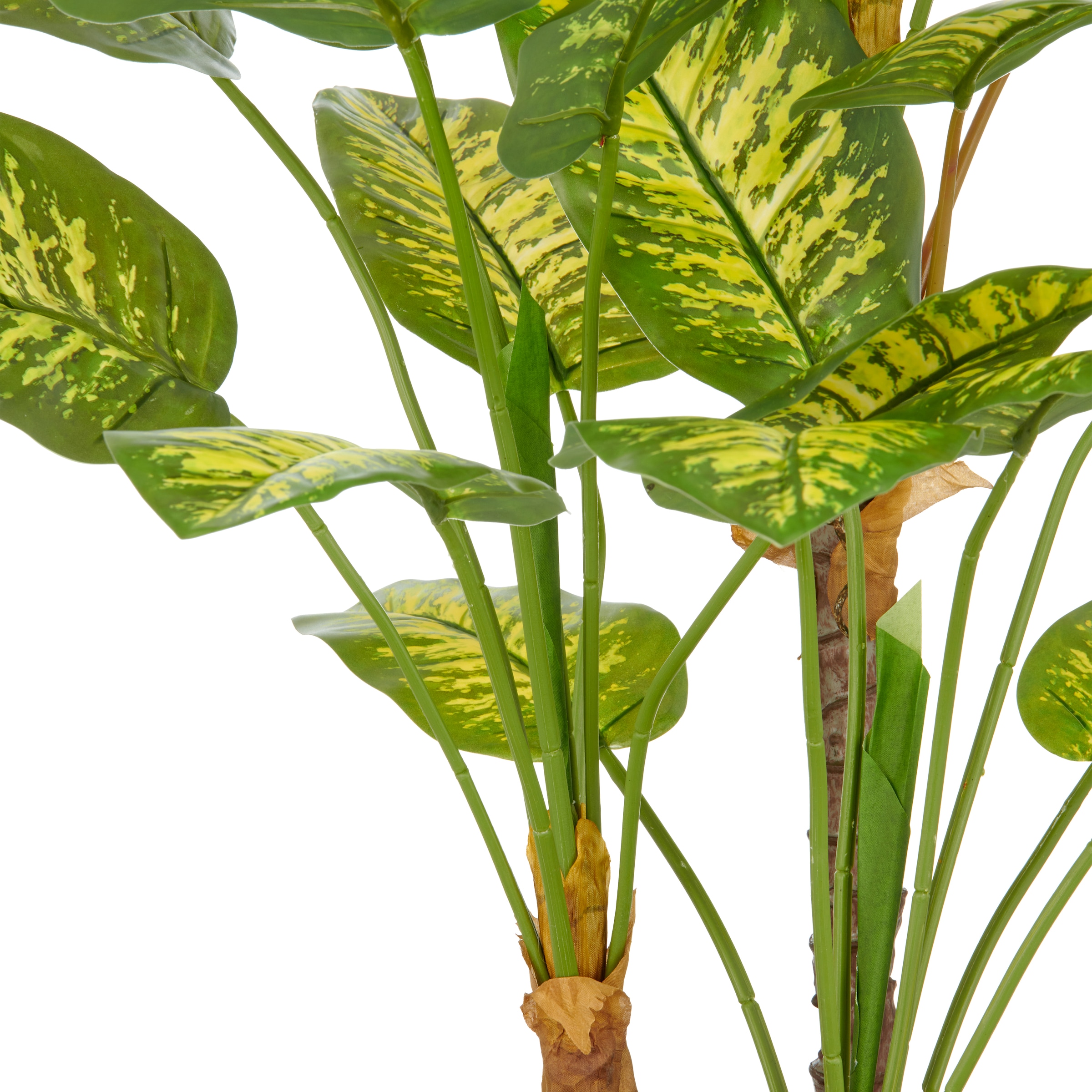 Creativ green Kunstpflanze »Dieffenbachia« mit naturgetreuer Gestaltung