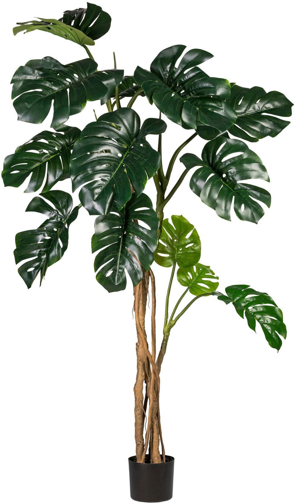 Creativ green Kunstpflanze »Splitphilodendron«, (1 St.)