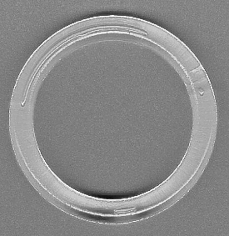 Gerster Deko-Ringe »Beinring«