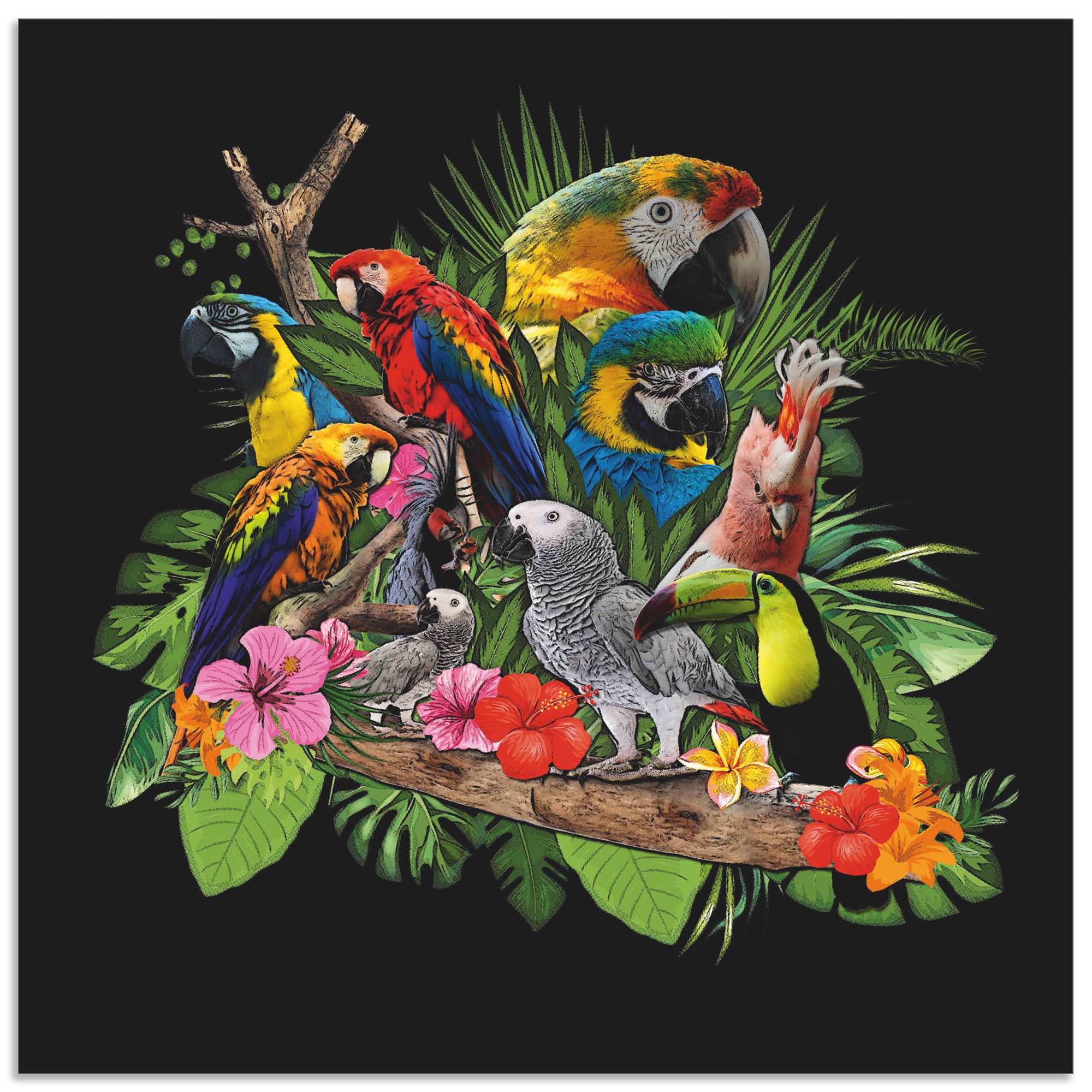 Artland Wandbild »Papageien Graupapagei Kakadu Dschungel«, Vögel, (1 St.),  als Alubild, Leinwandbild, Wandaufkleber oder Poster in versch. Größen  bestellen bei OTTO