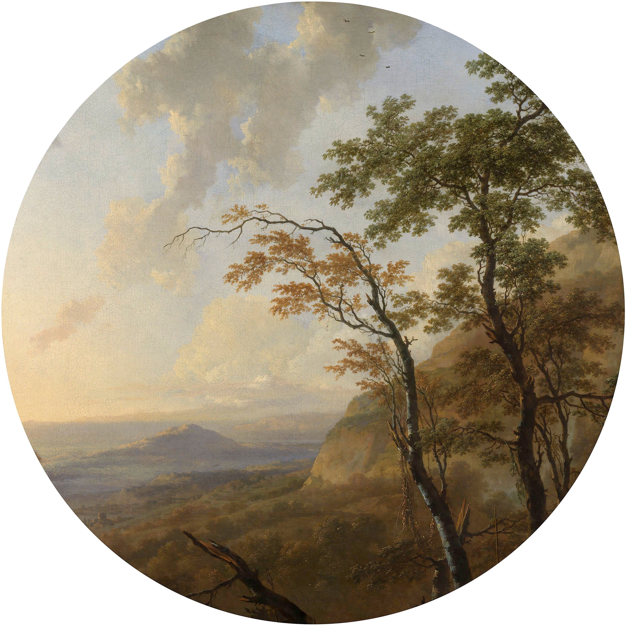 Komar Vliestapete »Horizon«, abstrakt-botanisch