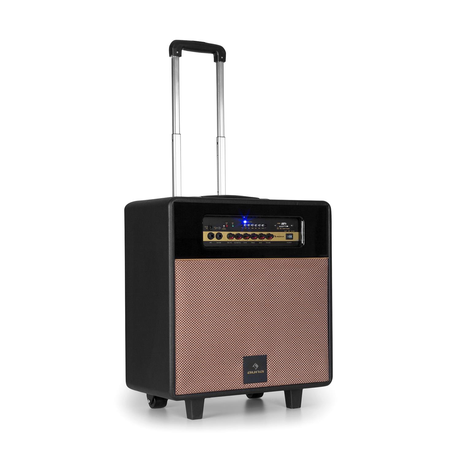 Auna PA-Anlage 10 Woofer 100Wmax. Mikro USB SD BT AUX UKW mobil