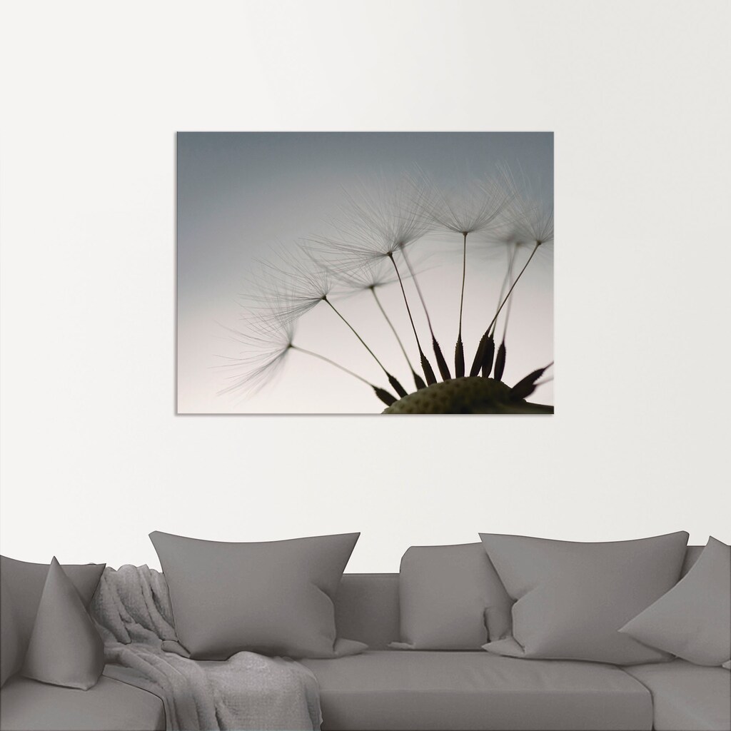 Artland Wandbild »Pusteblumen-Samen I«, Blumen, (1 St.)