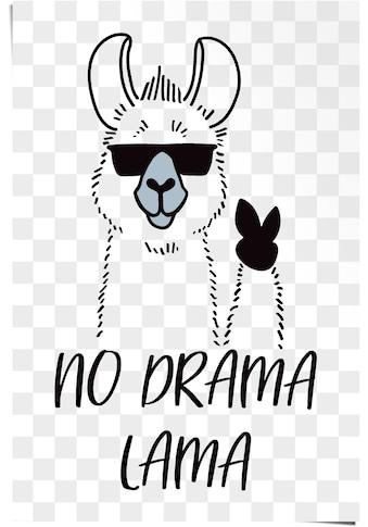 Poster »No Drama Lama«, (1 St.)
