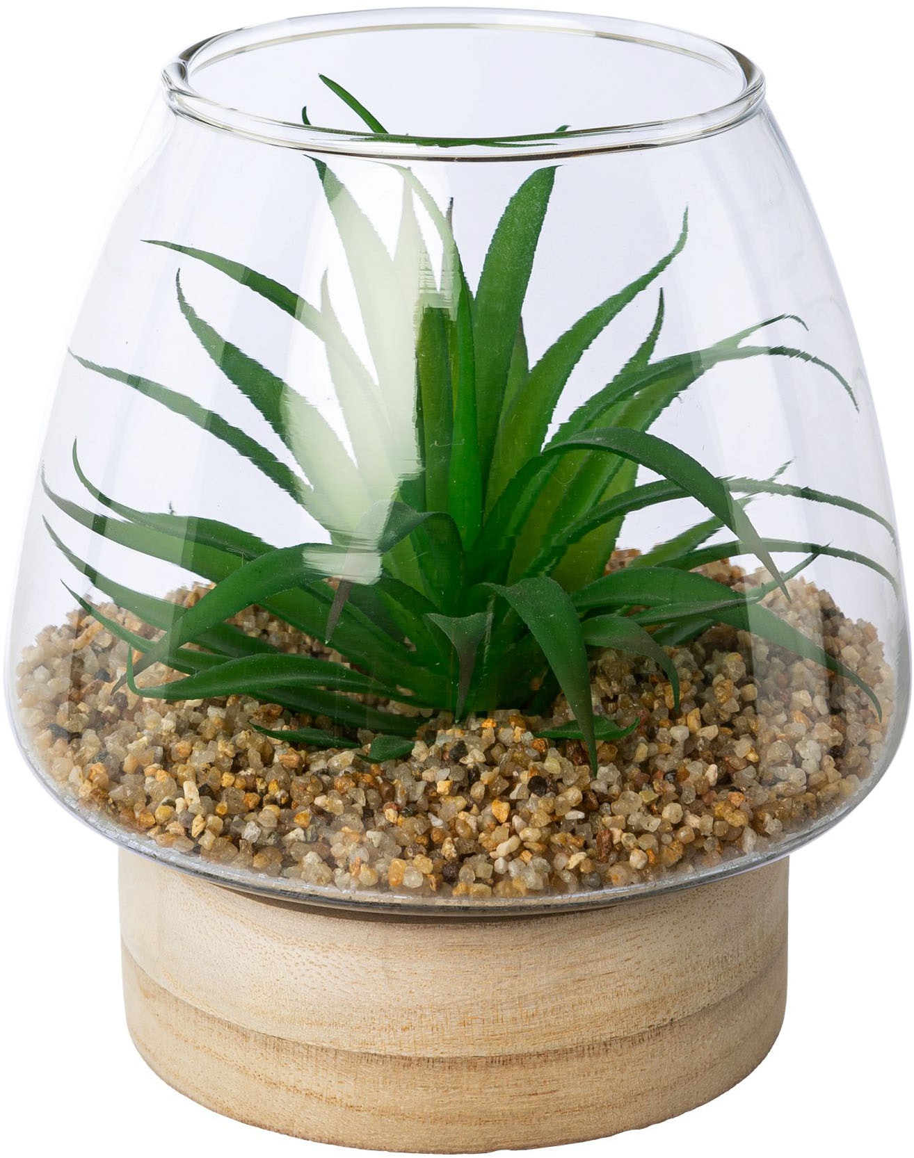 Creativ green Kunstpflanze »Sukkulenten im Glasgefäß« mit 2 verschiedenen Sukkulenten