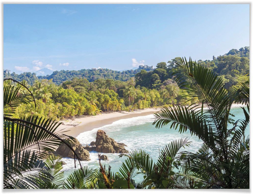 Wall-Art Poster »Dschungelblick Costa Rica«, Landschaften, (1 St.), Poster,  Wandbild, Bild, Wandposter kaufen online bei OTTO