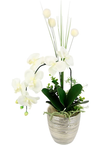 Kunstblume »Arrangement Orchidee/Gras«