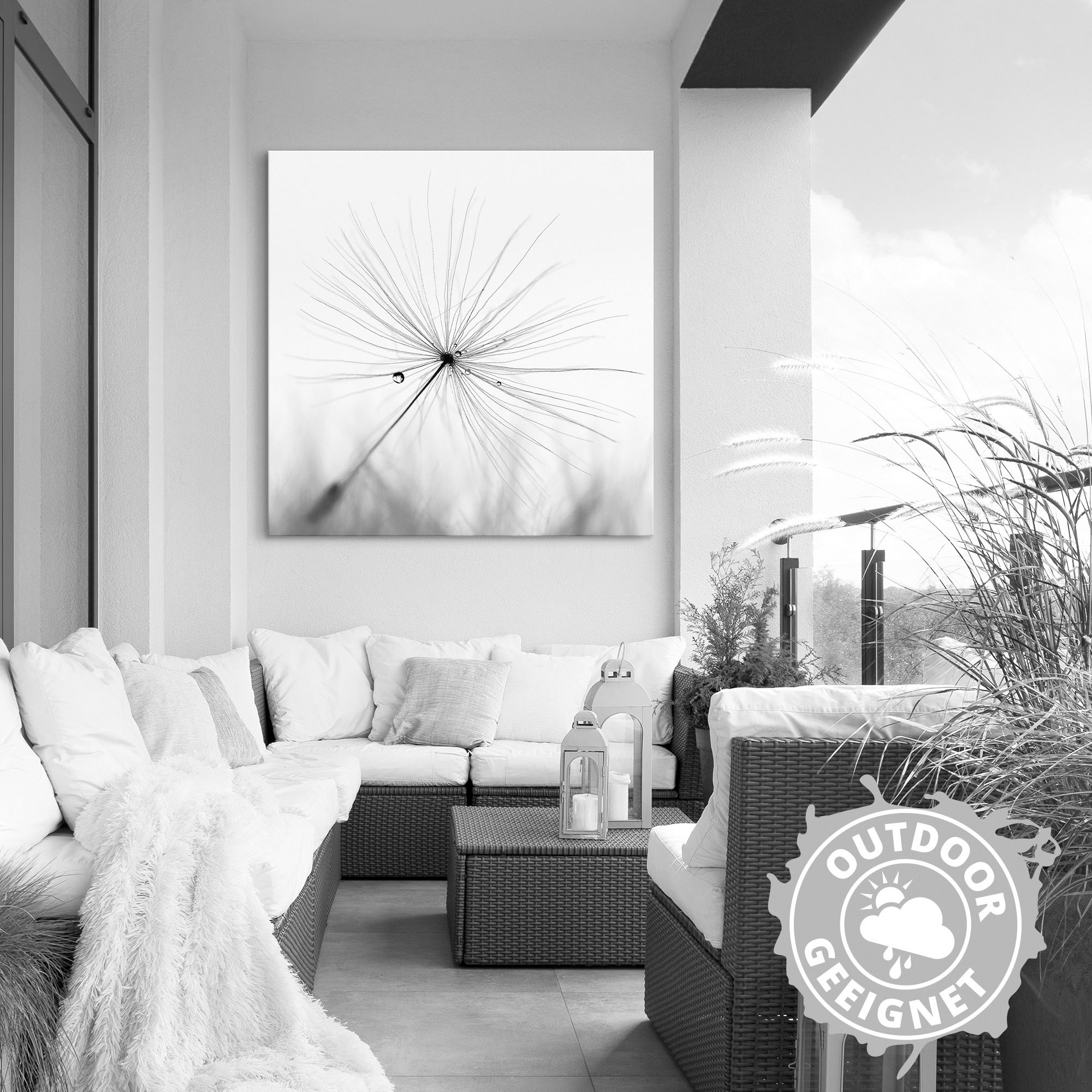 Artland Wandbild »Pusteblume Schirmchen«, Blumen, (1 St.), als Alubild, Outdoorbild, Leinwandbild, Poster, Wandaufkleber