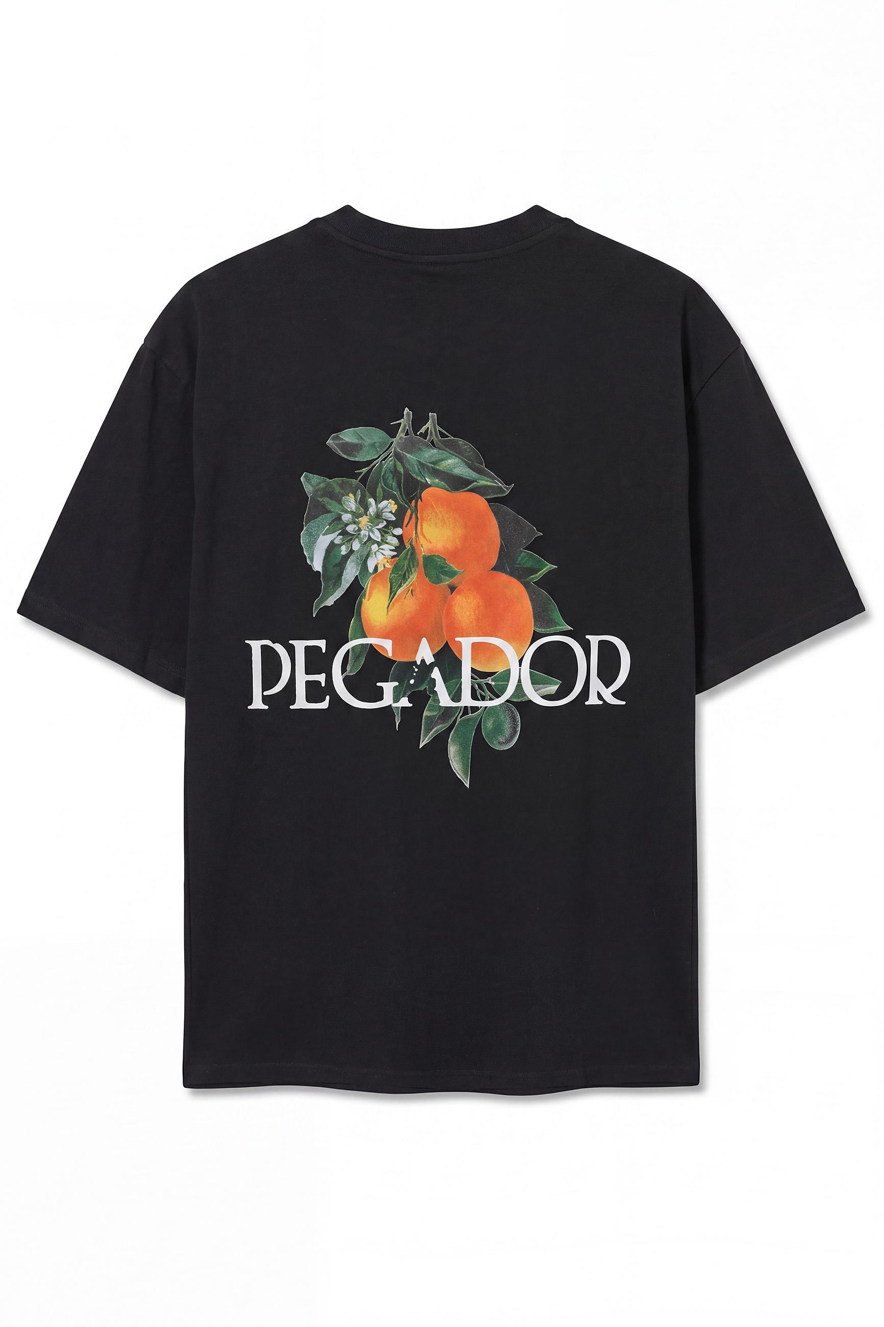 PEGADOR Rundhalsshirt »VIBORG OVERSIZED TEE«