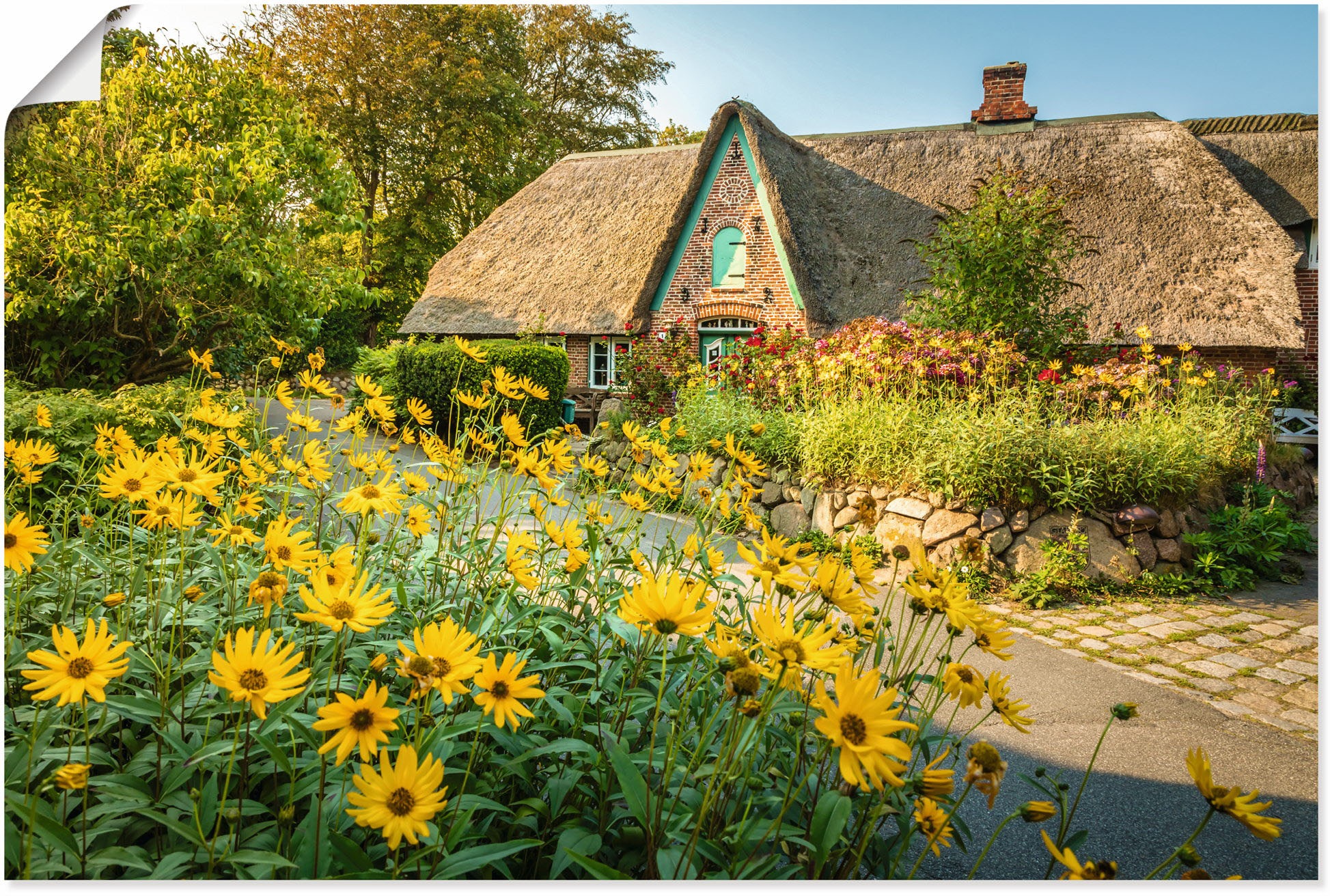 Artland Wandbild »Historischer Hof mit Bauerngarten Keitum«, Gartenbilder, (1 St.), in vielen Größen & Produktarten - Alubild / Outdoorbild für den Außenbereich, Leinwandbild, Poster, Wandaufkleber / Wandtattoo auch für Badezimmer geeignet