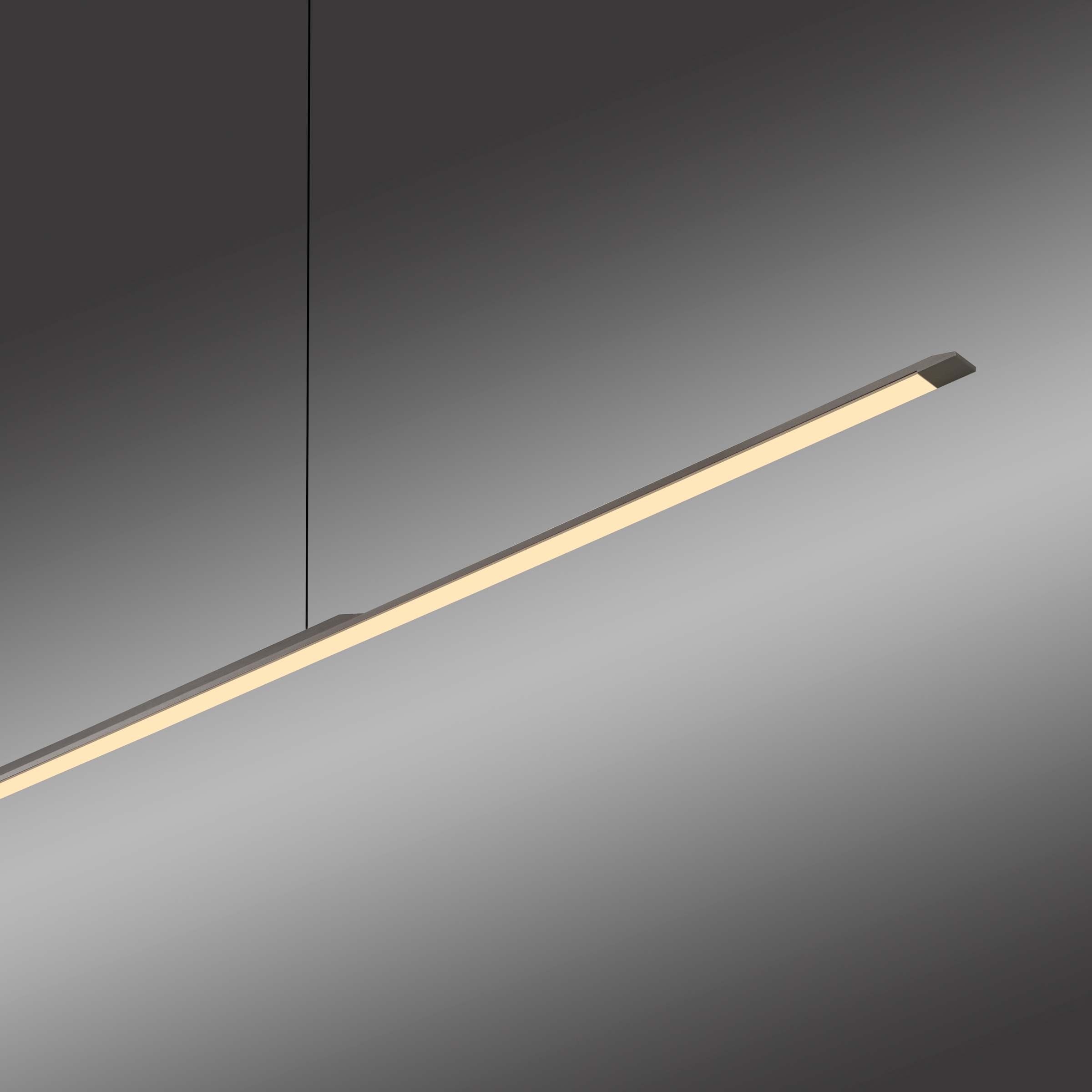 Neuhaus PURE LED Pendelleuchte »PURE Surface« LED-Board 1 Stk. Warmweiß Dimmfähig über separaten Dimmer, höhenverstellbar