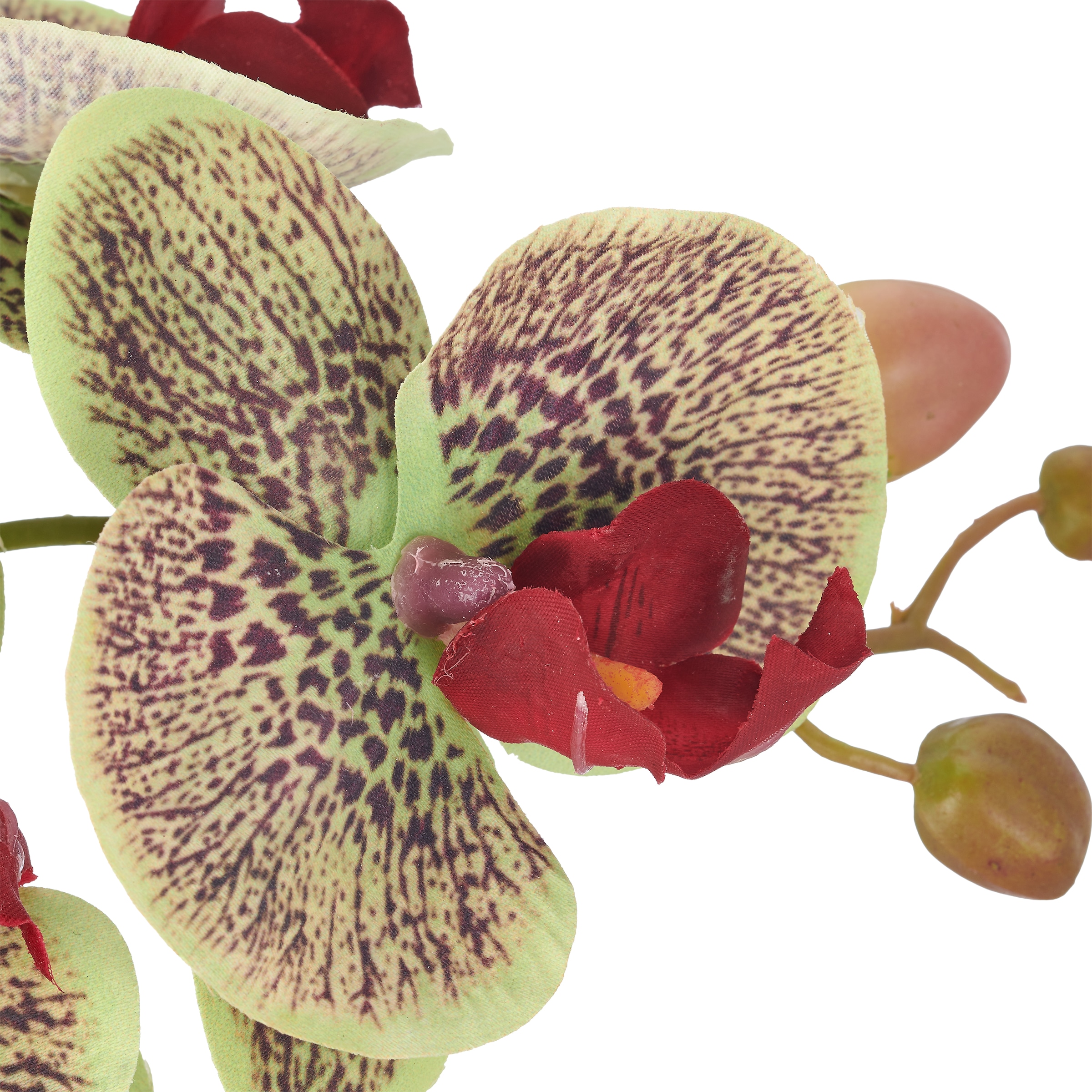Creativ green Kunstorchidee »Phalaenopsis« mit Real-Touch-Blüten