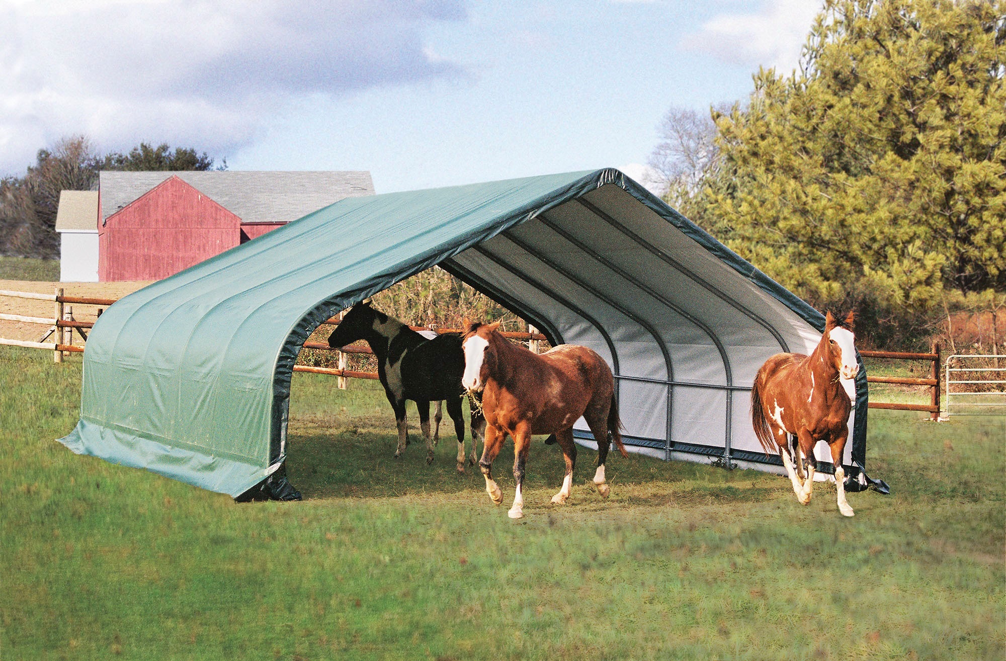 50NRTH Foliengerätehaus »Weidezelt«, 40,87m², Grün