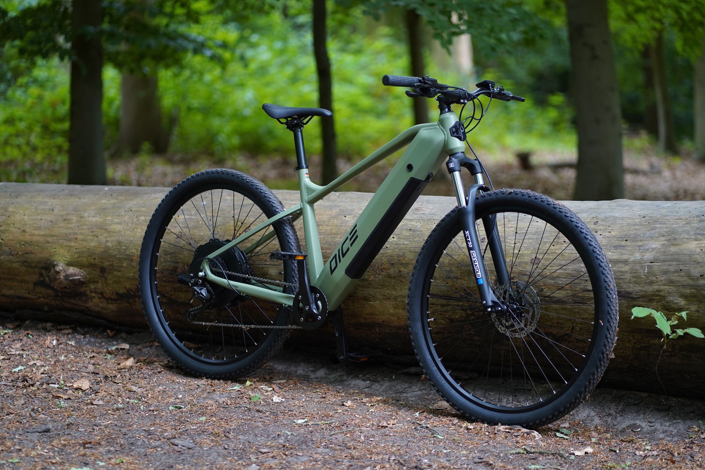 Prophete E-Bike »Dice 2.8«, 9 Gang, Shimano, Alivio, Heckmotor 250 W