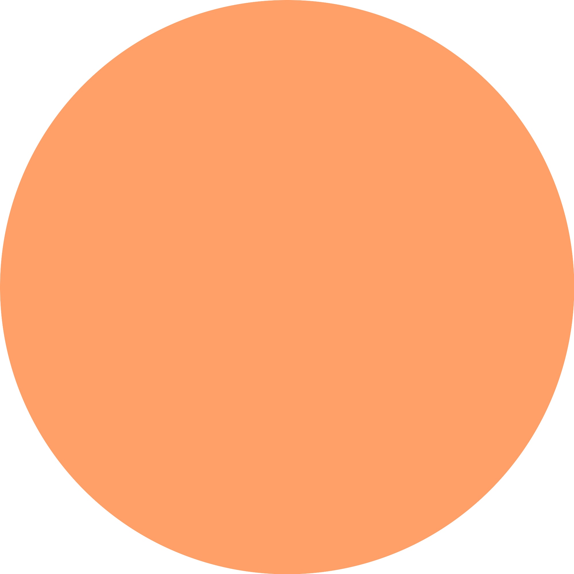 Essence Rouge »got a crush on apricots aura blush«, (Set, 3 tlg.), mit Apricot-Design