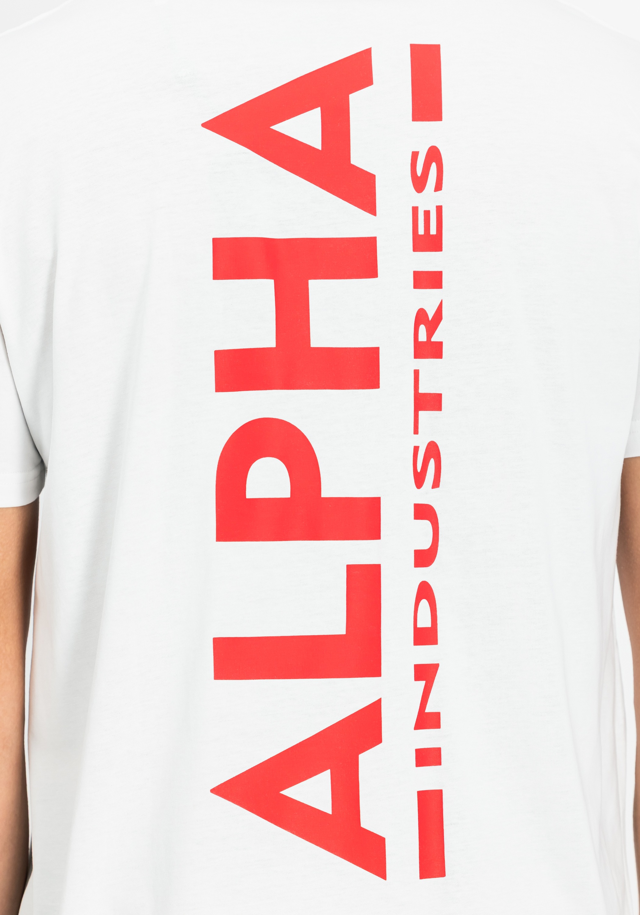Alpha Industries T-Shirt »Backprint T-Shirt T-Shirt«