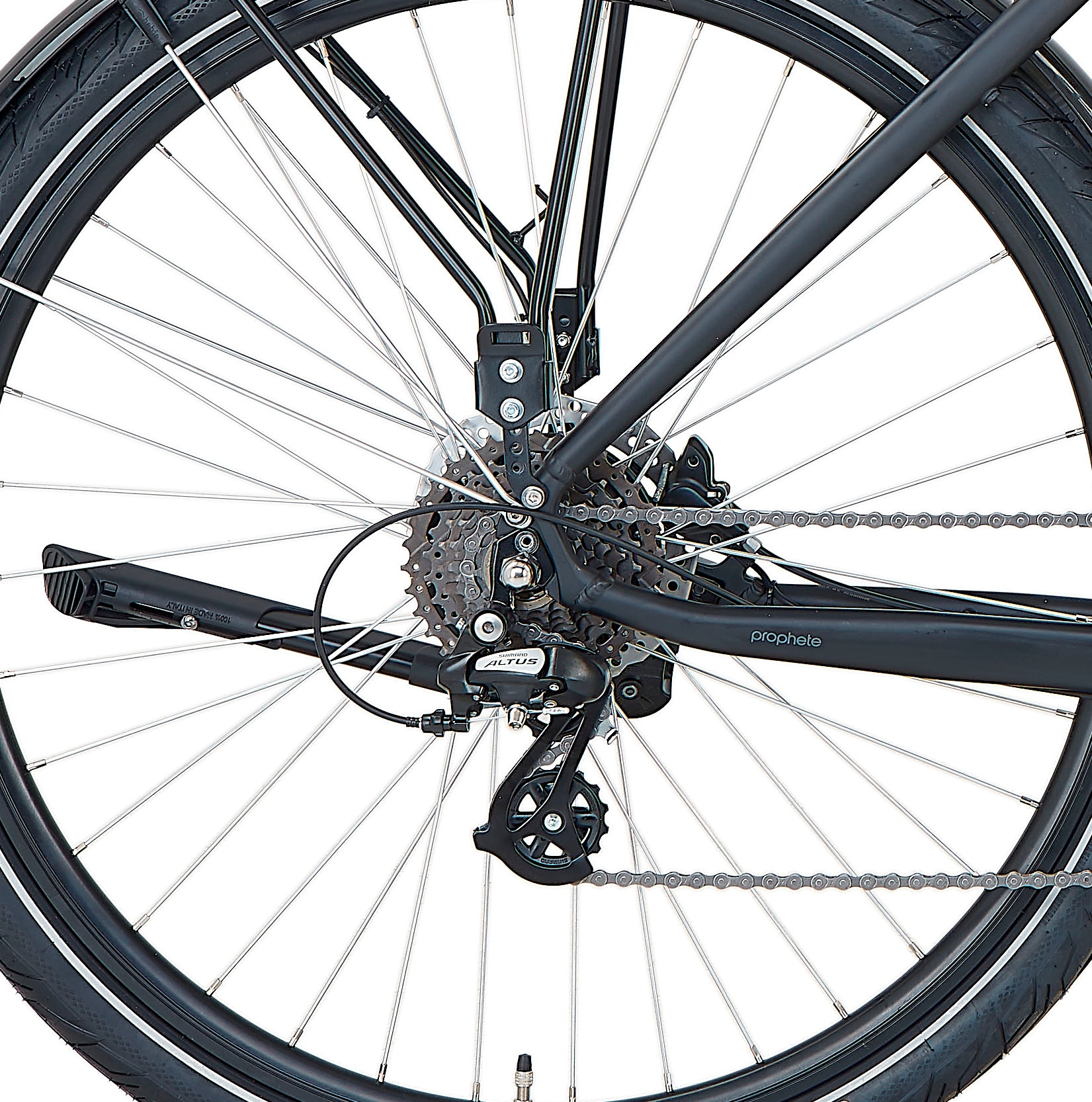 Prophete E-Bike »Entdecker 2.8«, 8 Gang, Shimano, Altus, Heckmotor 250 W, Pedelec, Elektrofahrrad für Damen